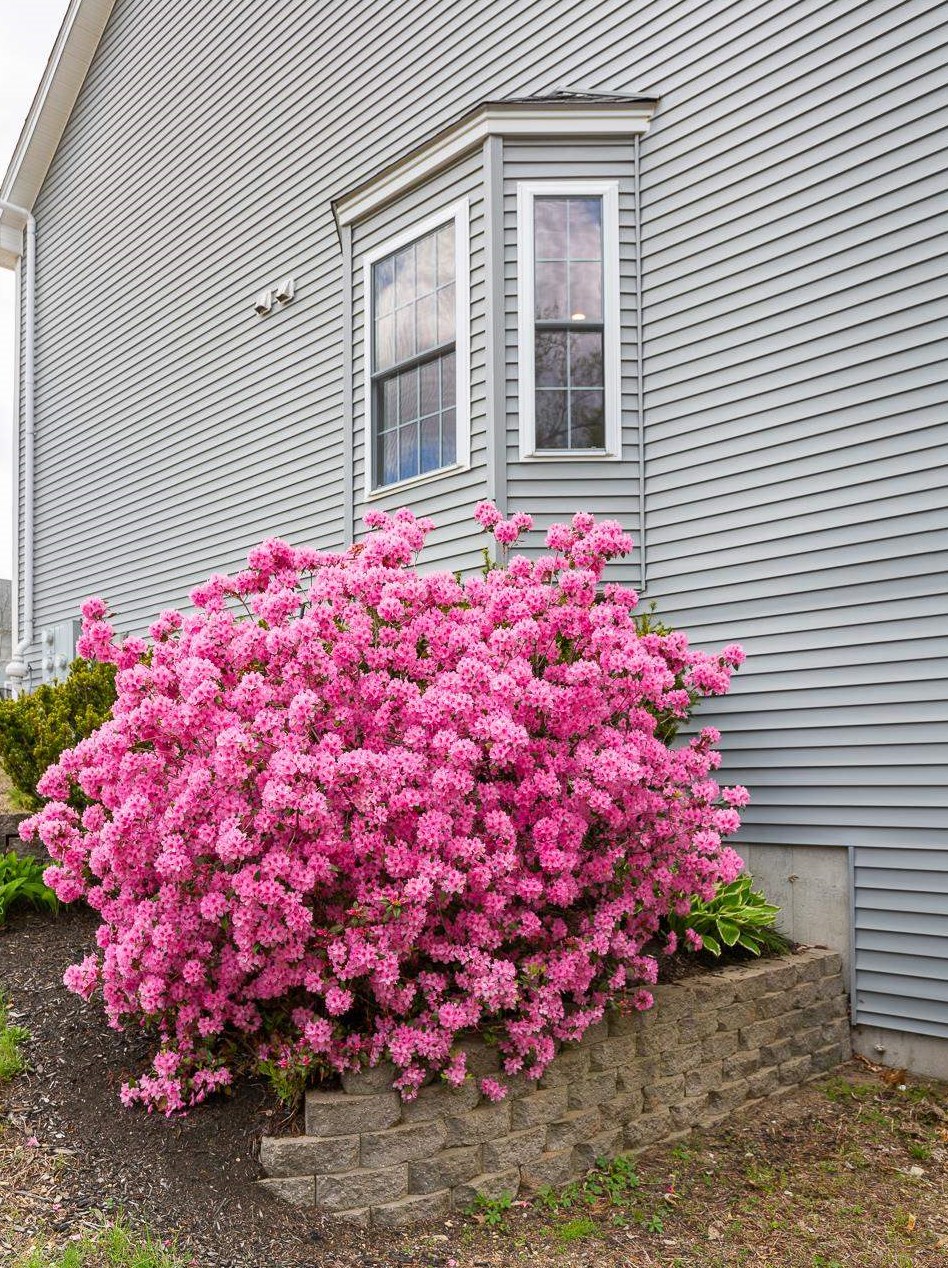 10 Scribner #1, Fremont, NH 03044