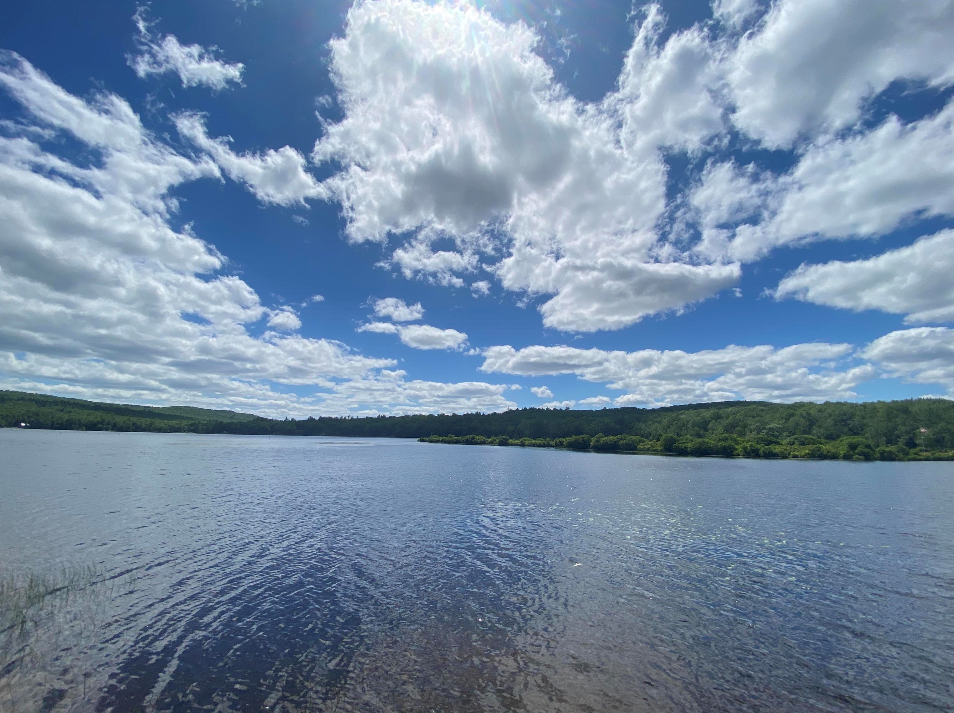 377 Ashuelot Dr, Washington, NH 03280