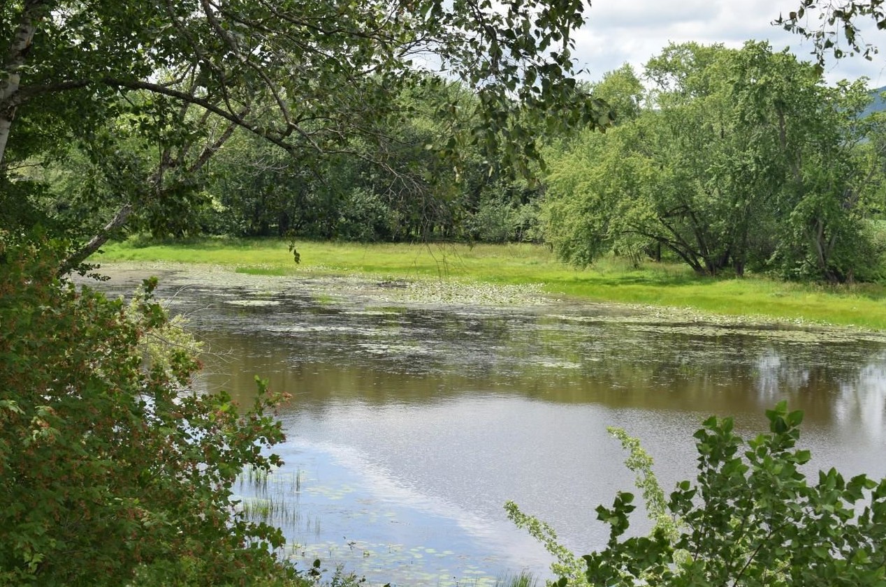 426 Main St, Lancaster NH  03584-3003 exterior