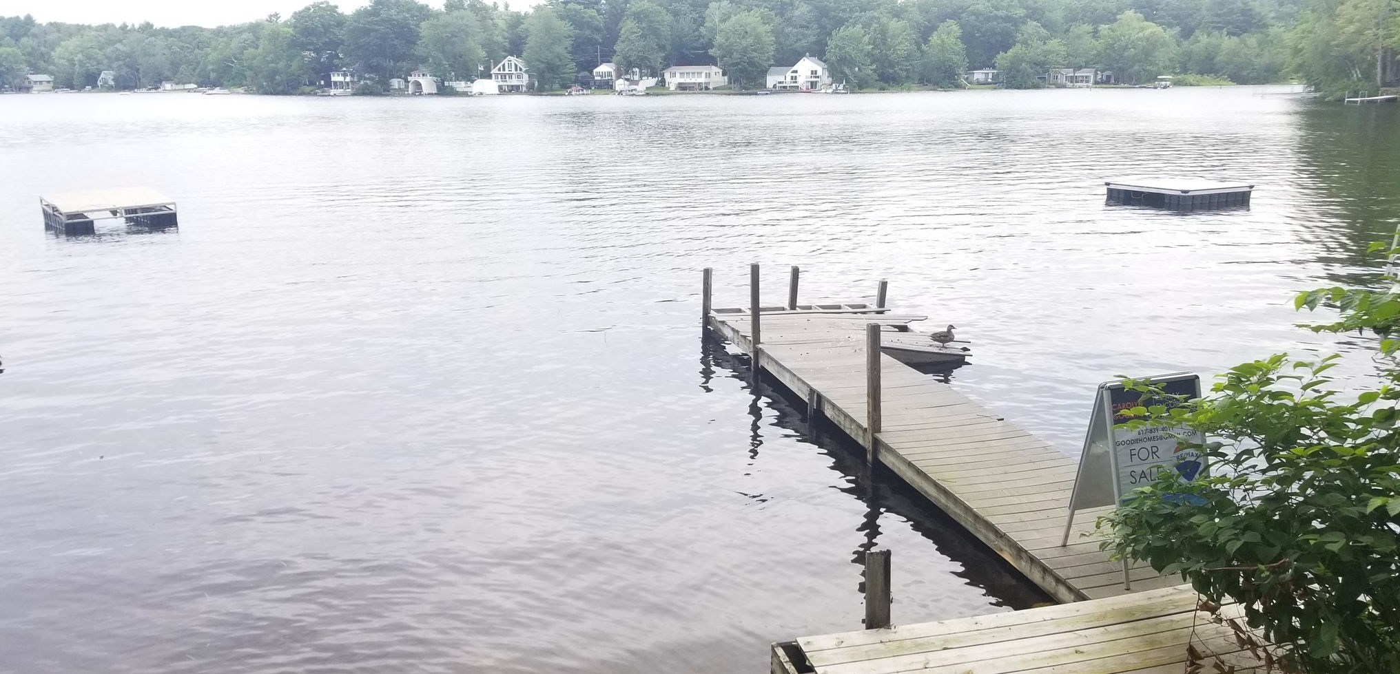 10 Millard Ct, Sandown, NH 03873