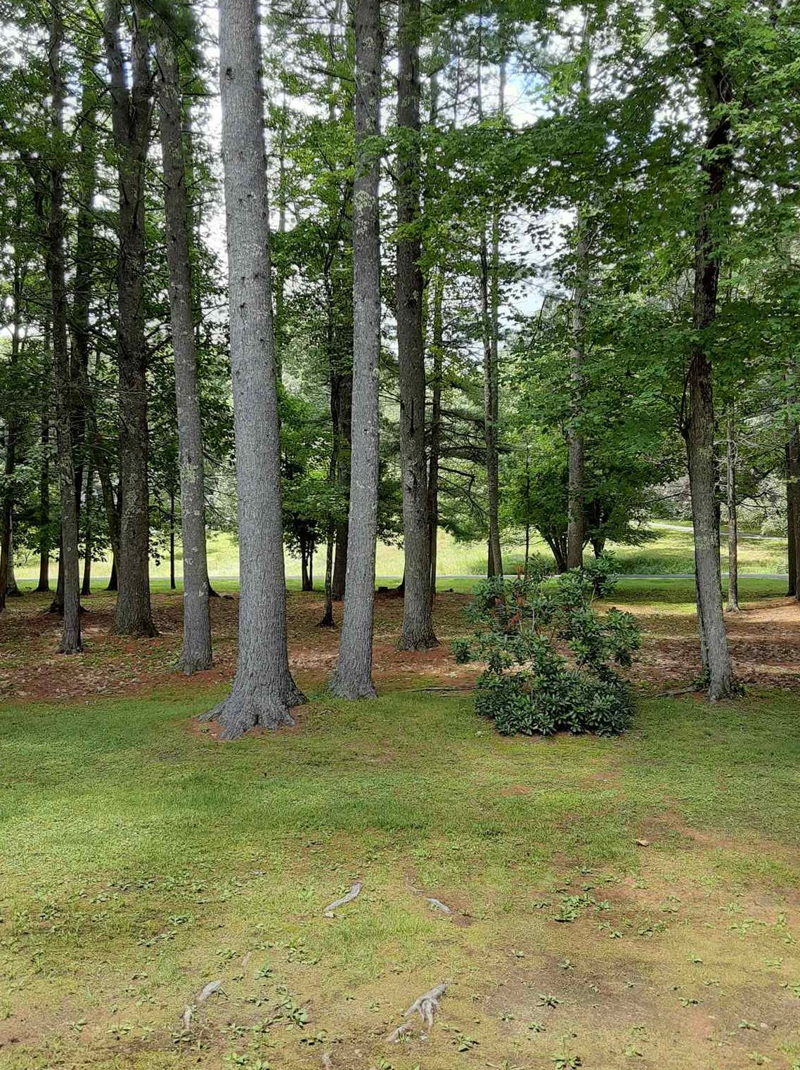 36 Clifton Rd, Manchester, NH 03110-4703