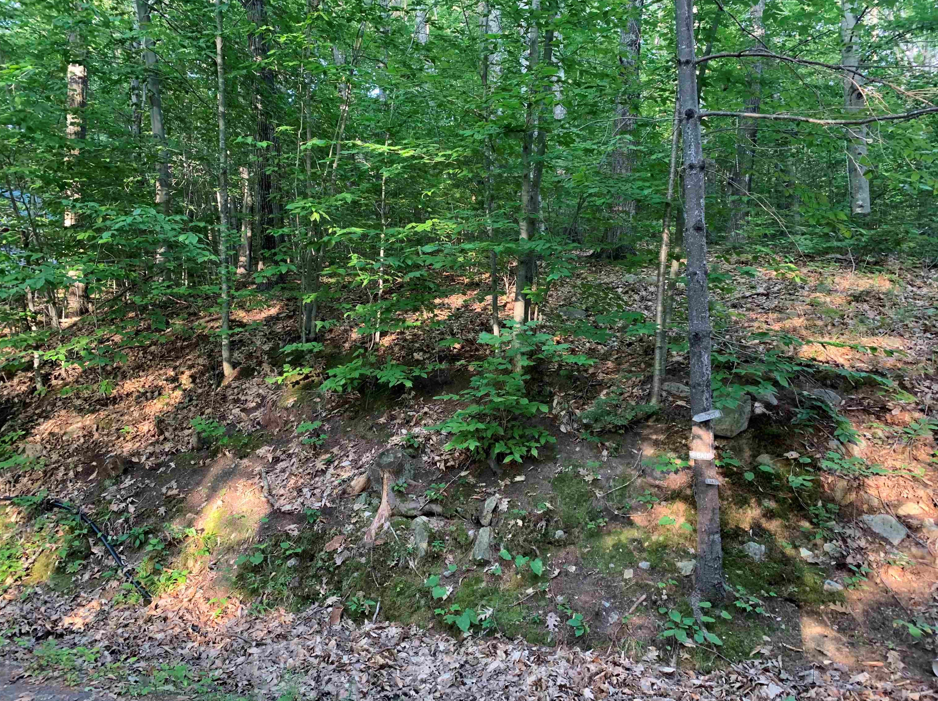 81 Scott Dr, Alton, NH 03810