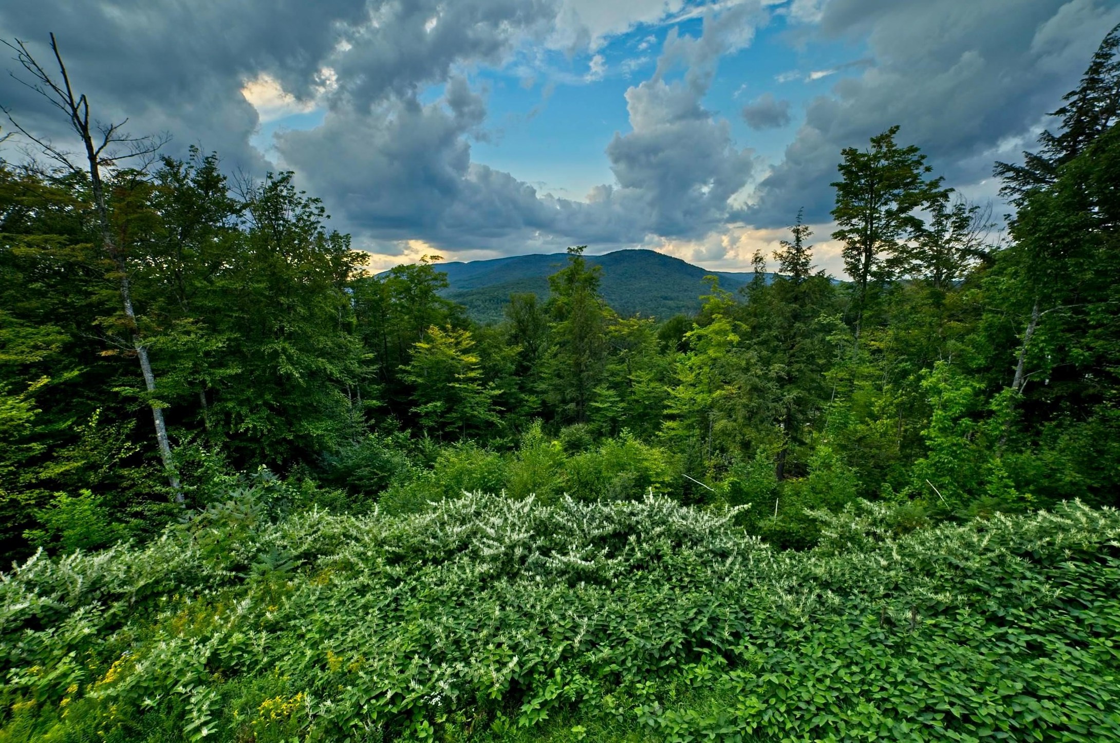 82 Loft Cir, Ellsworth, NH 03223