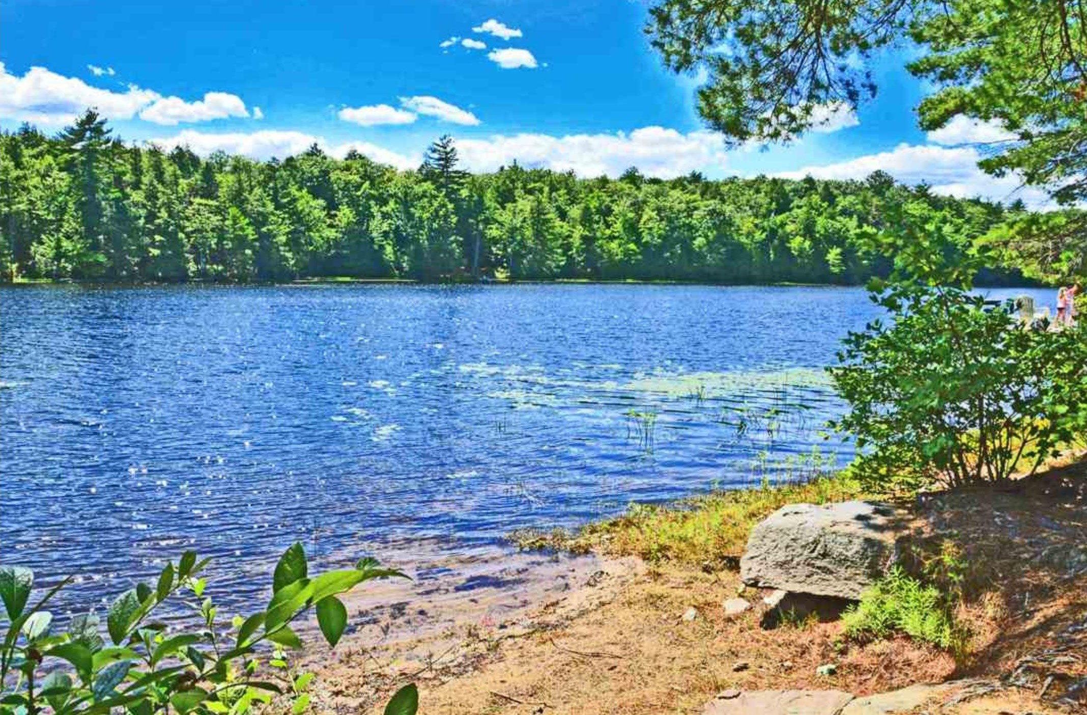 16 Sherwood Forest Dr, Canterbury, NH 03224-2738