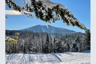 230 White School Road, Burke, VT 05832 - Photo 2