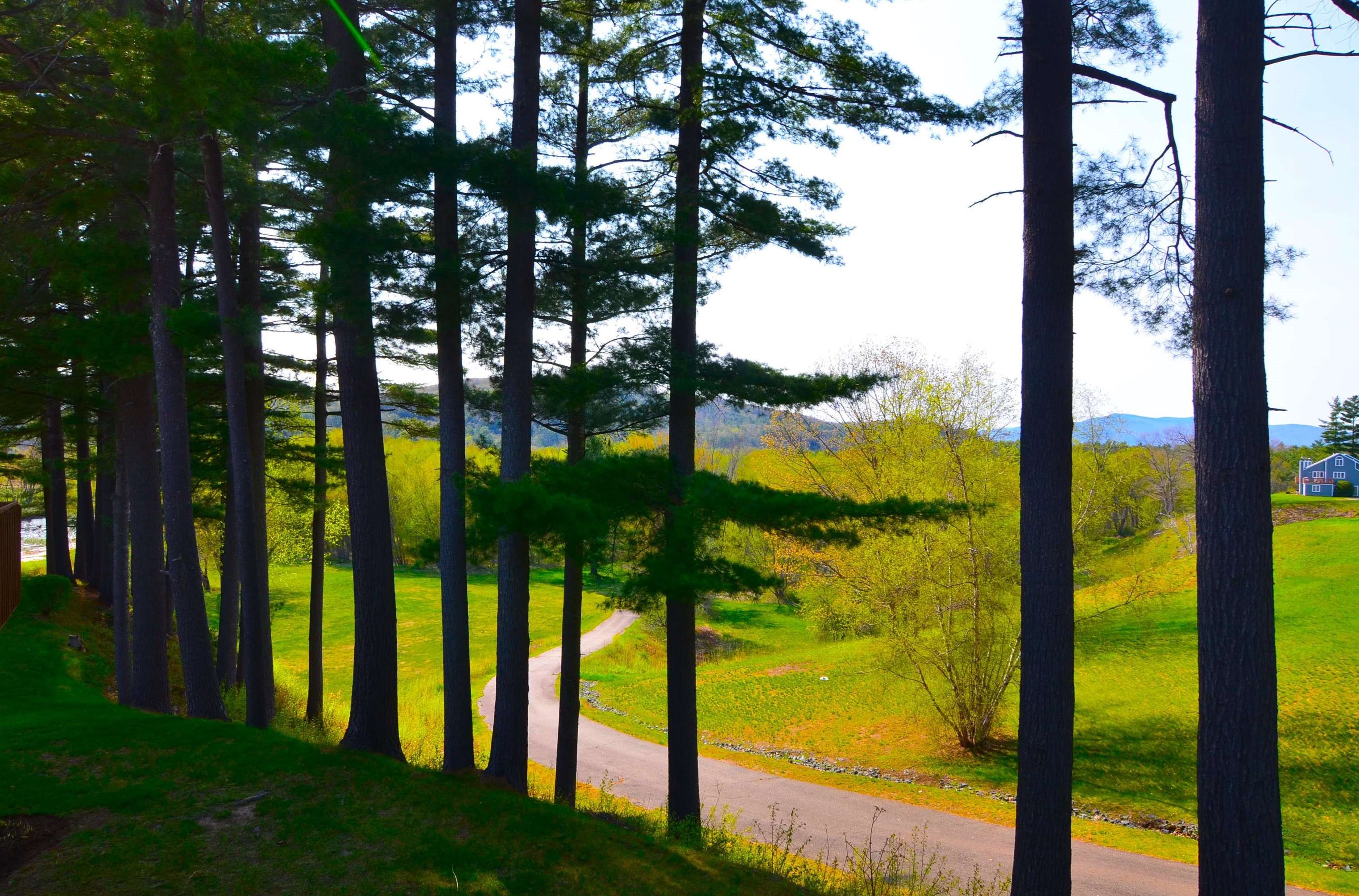 16 Circle Rd, Manchester NH 03102-4125 exterior