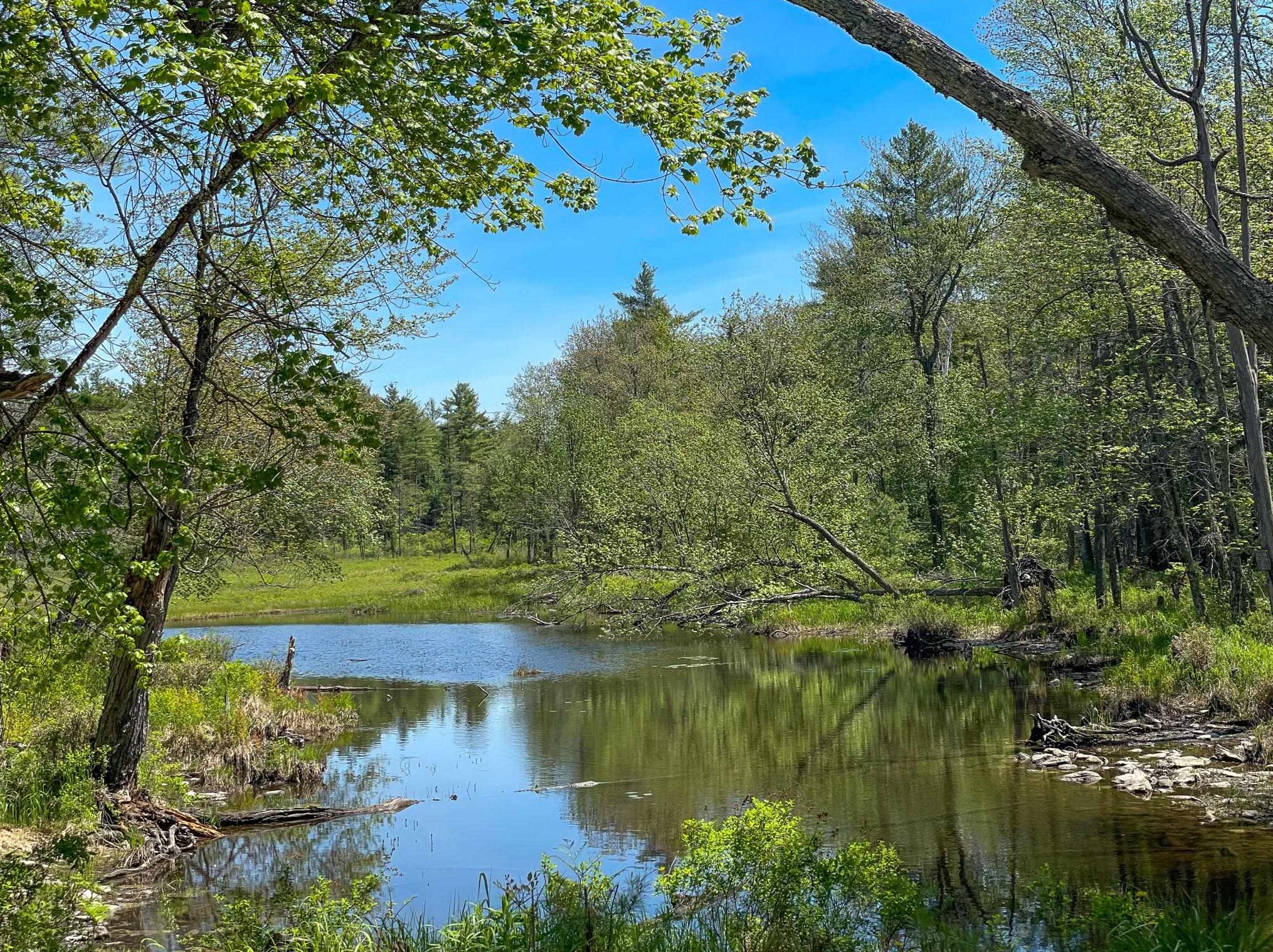 35 Maurer Ln, Sunapee, NH 03782