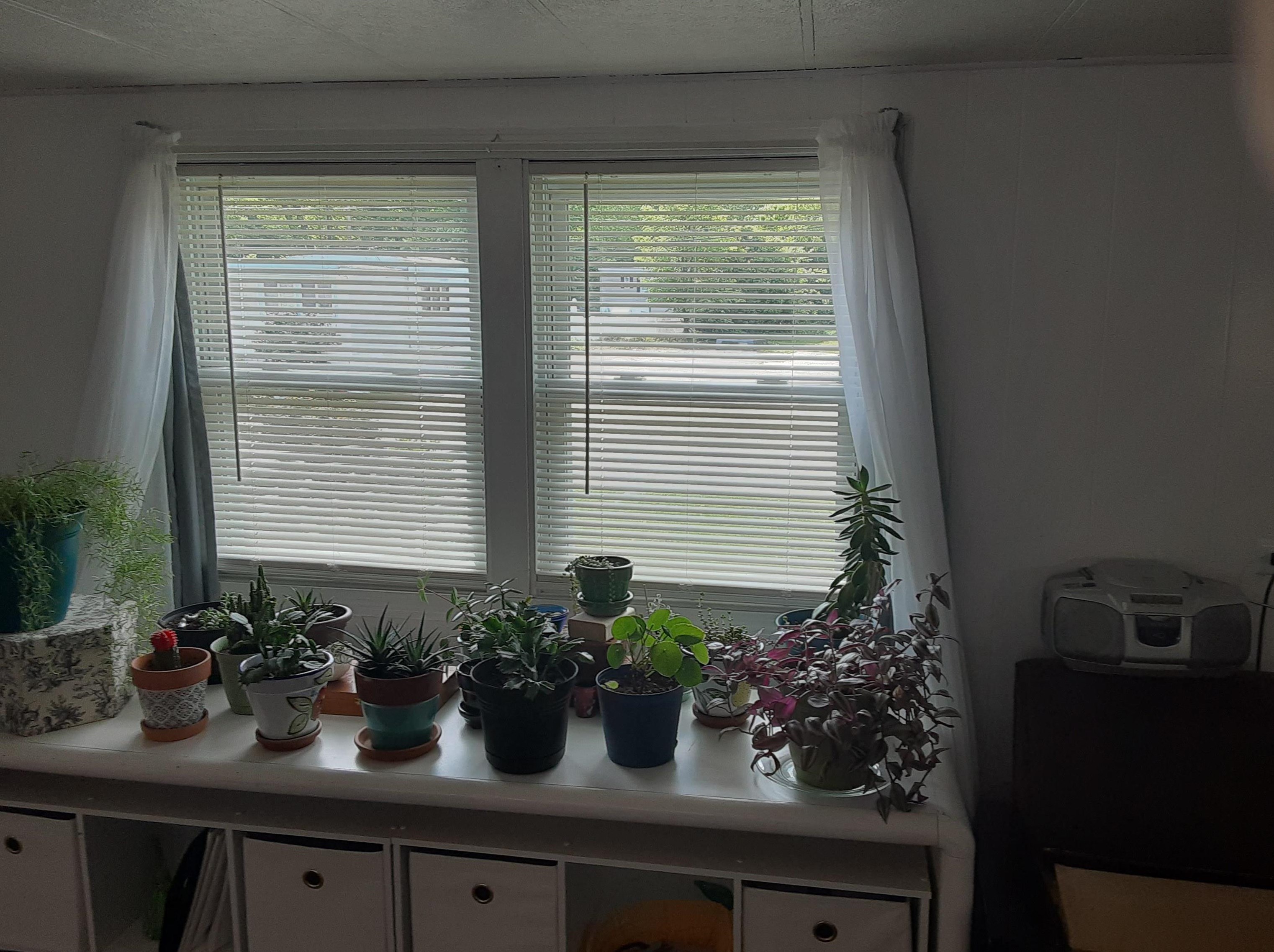 12 Mobile Dr, Hudson NH  03051-3909 exterior