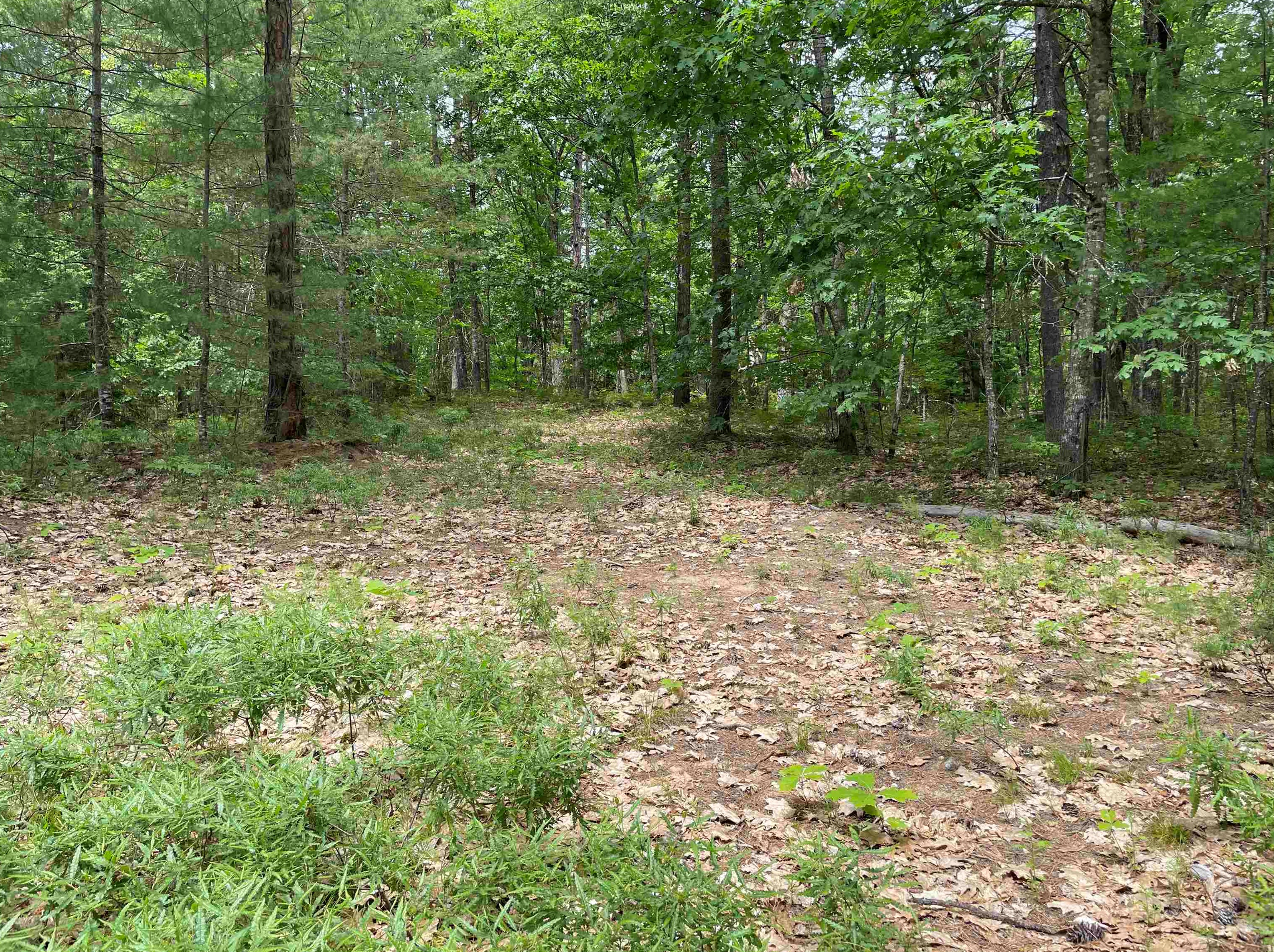 405 Route 25, Ctr Ossipee NH  03814-6401 exterior