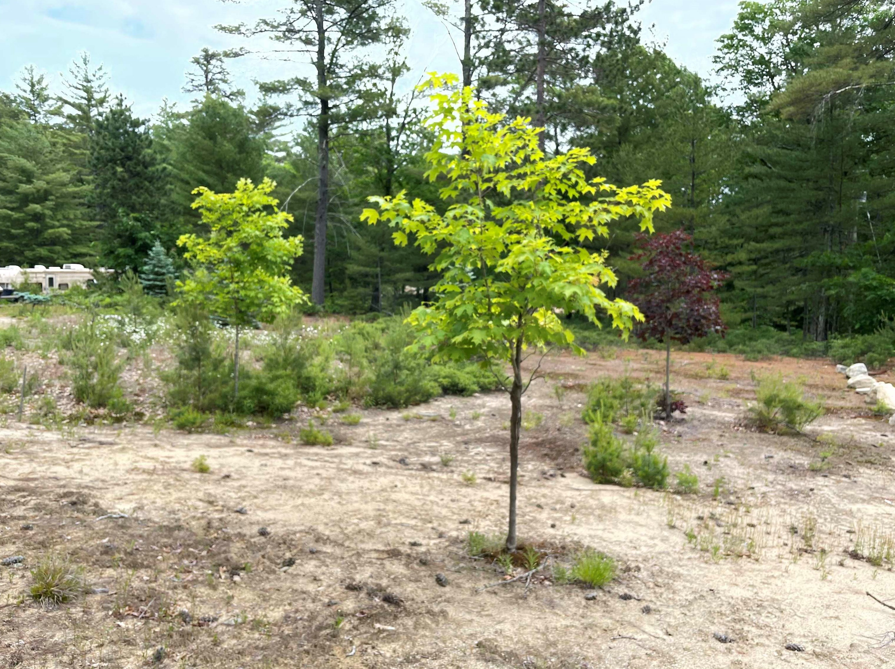 405 Route 25, Ctr Ossipee NH  03814-6401 exterior