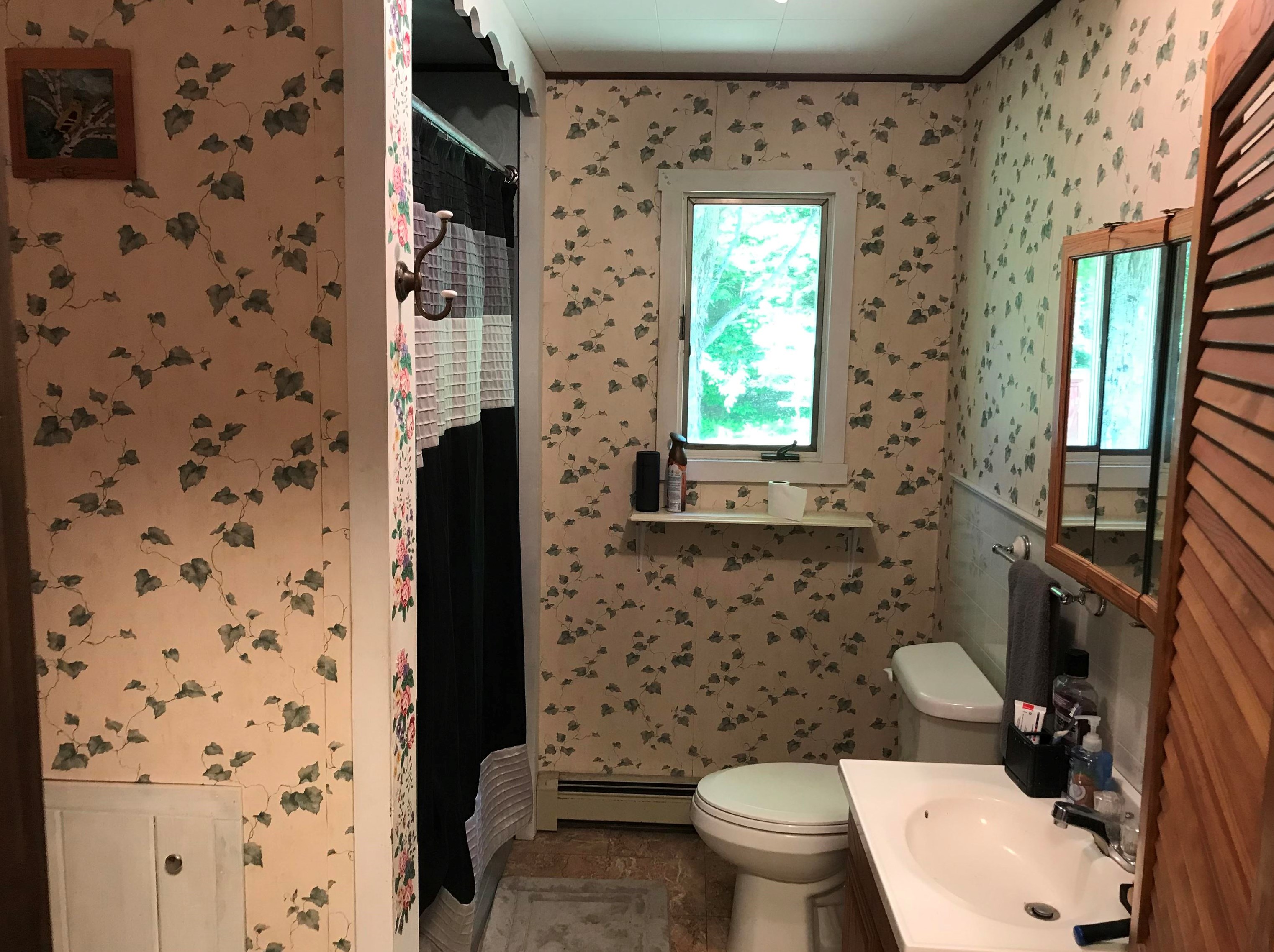 219 Milan Rd, Dummer NH  03588-3319 exterior