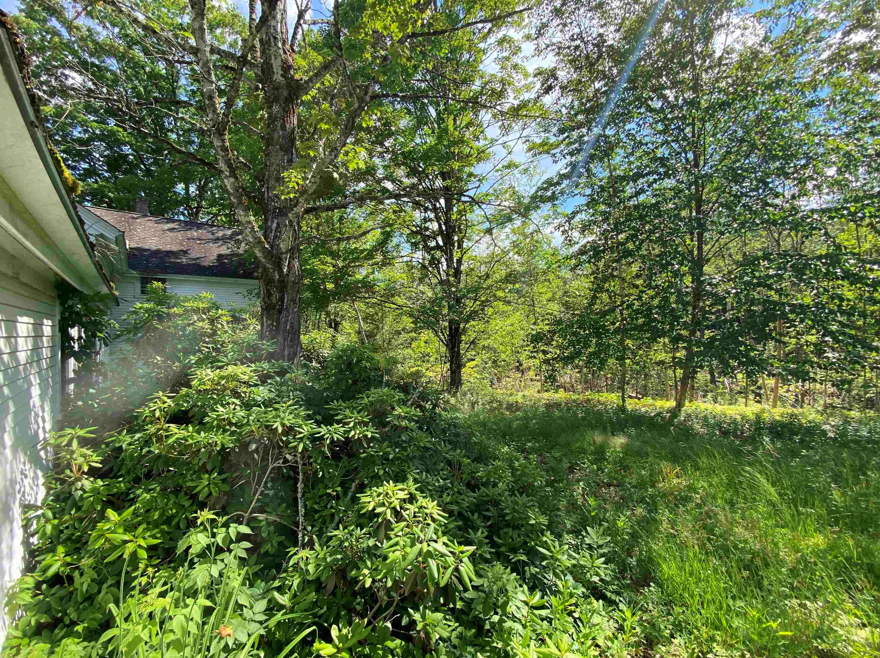 37 Frescoln Rd, Wentworth, NH 03282