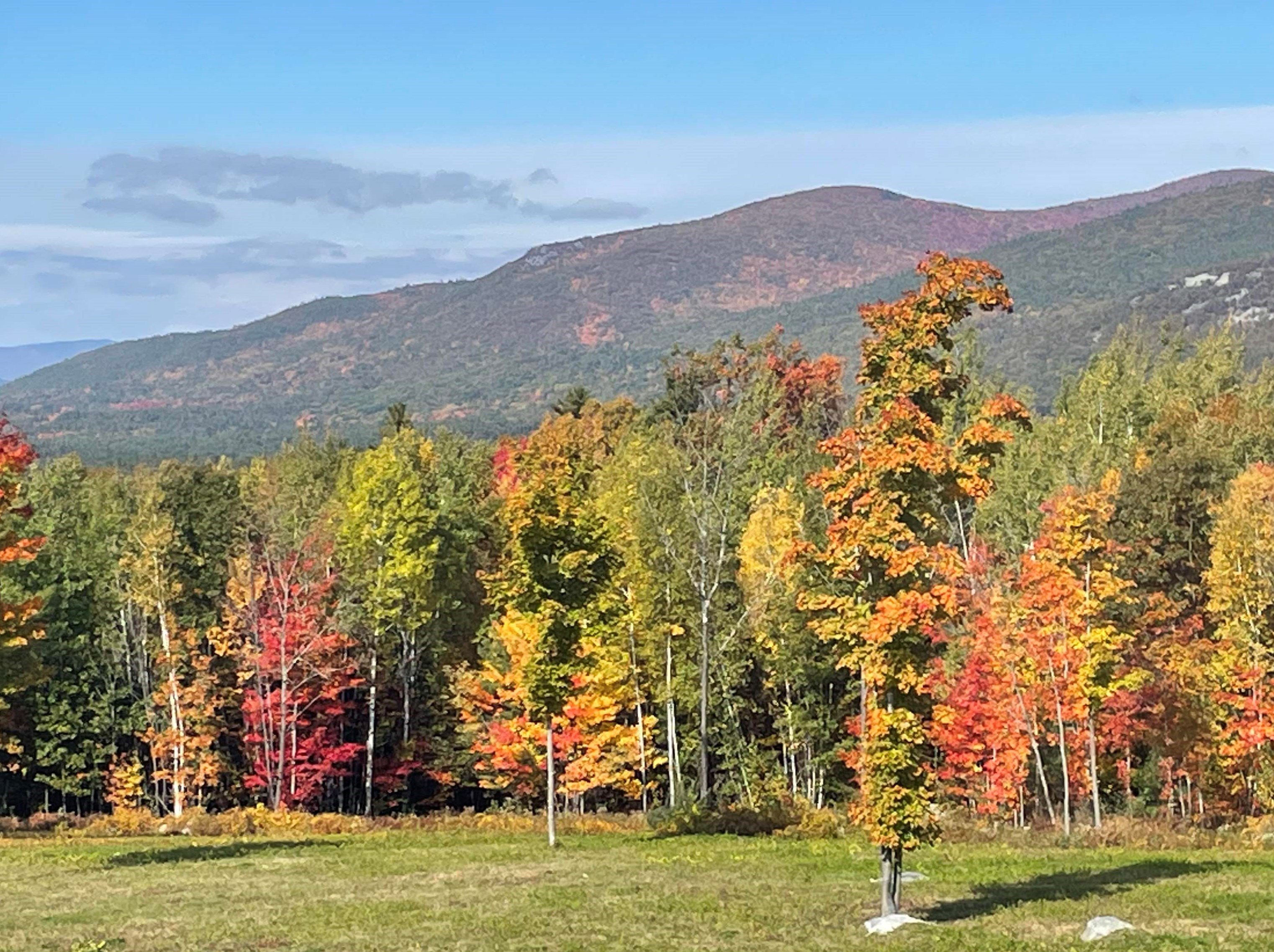 156 Ledge Hill Rd, Tuftonboro, NH 03816 exterior