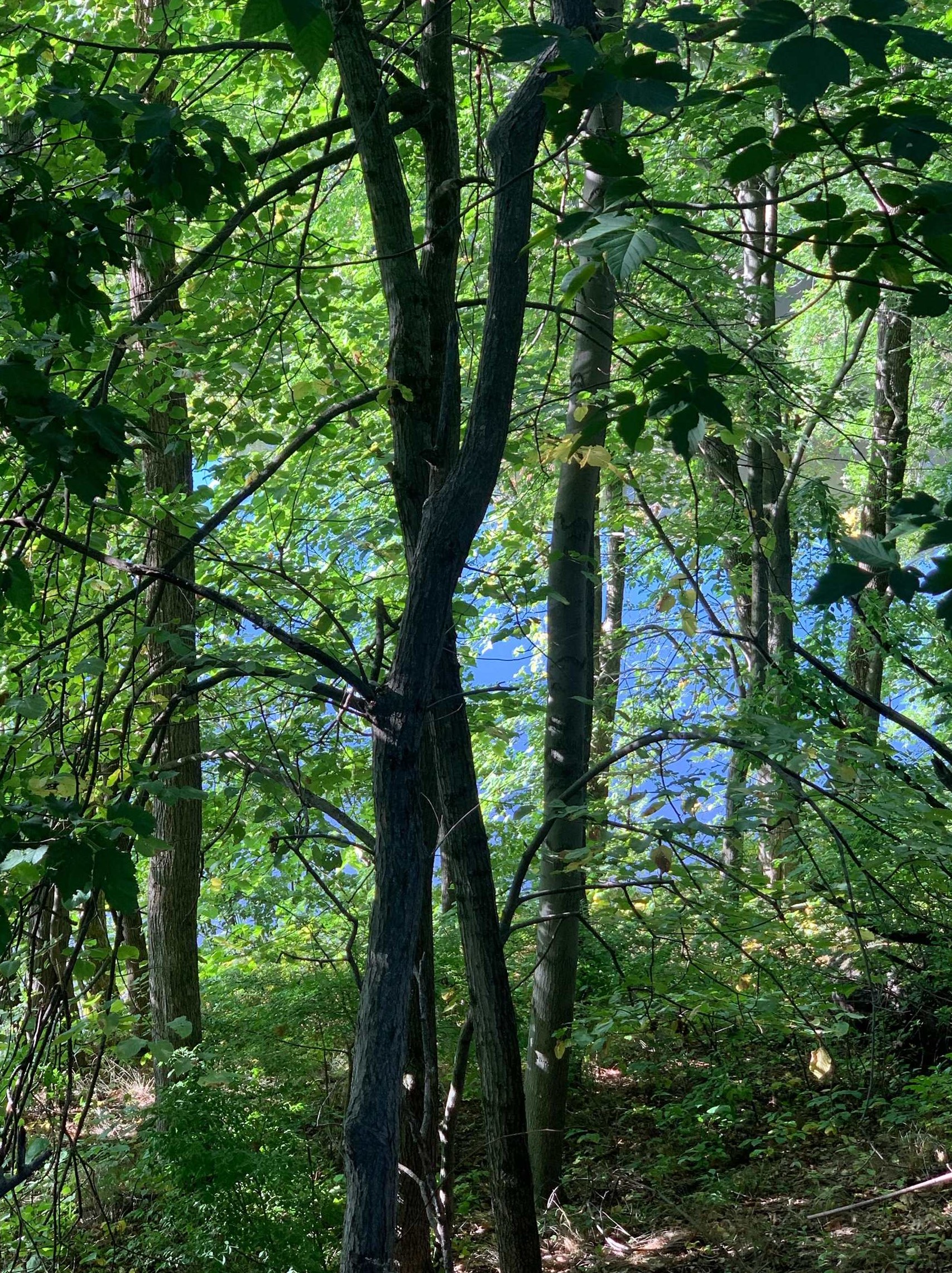 6 Waterview Cir, Hudson NH 03052-8046 exterior