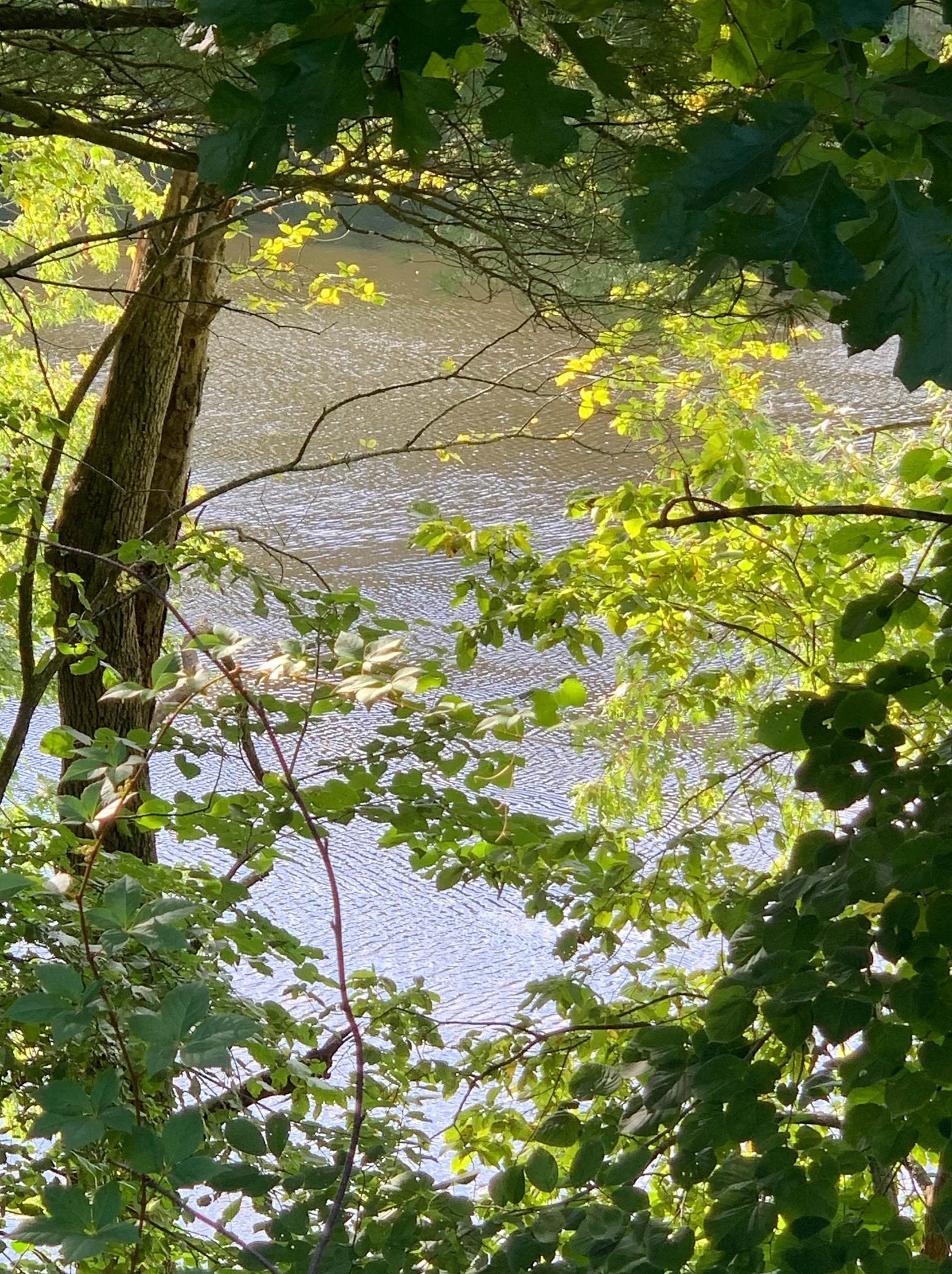 6 Waterview Cir, Hudson NH 03052-8046 exterior