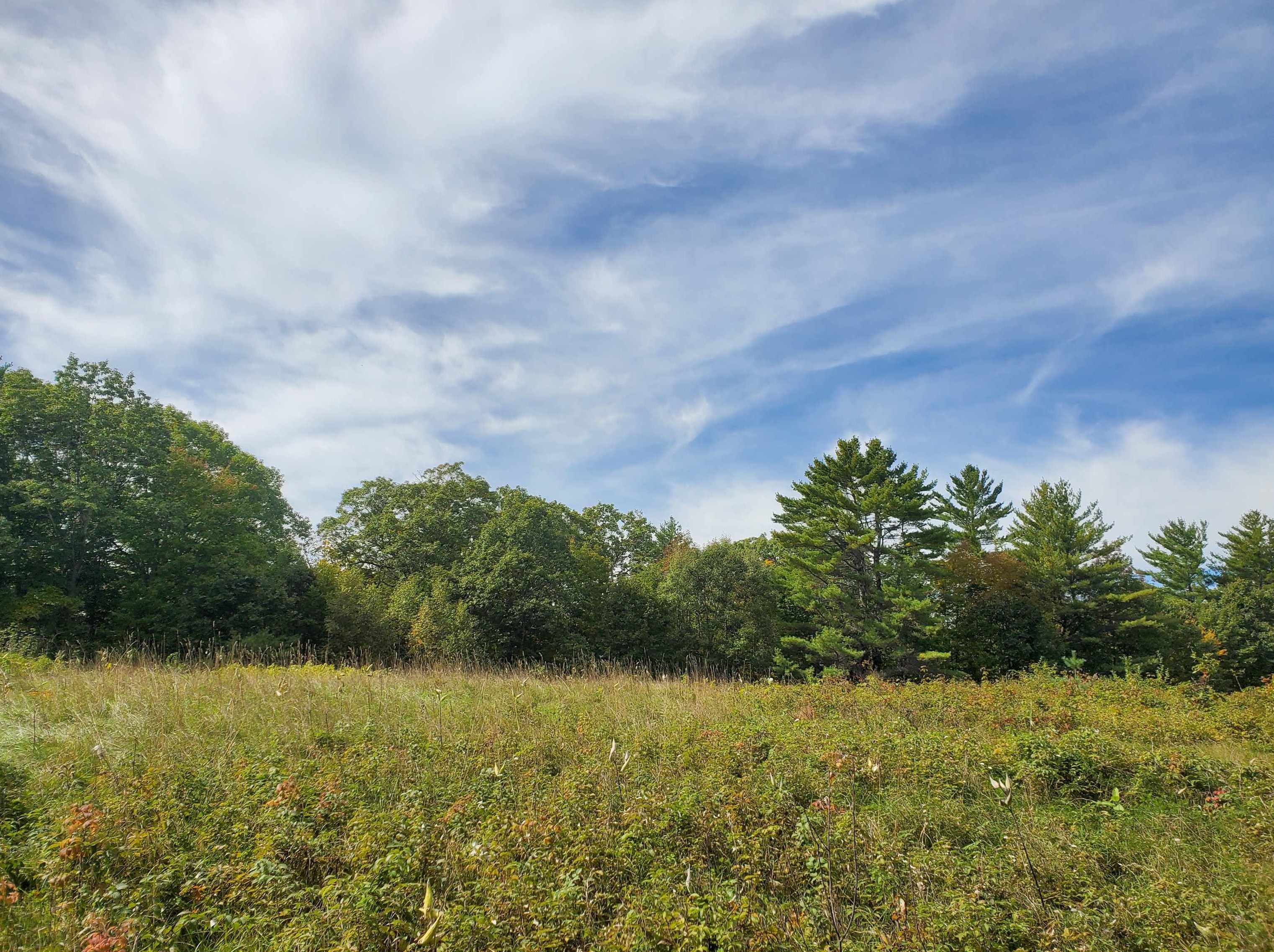 97 Shute Hill Rd, Sanbornton, NH 03269-2514