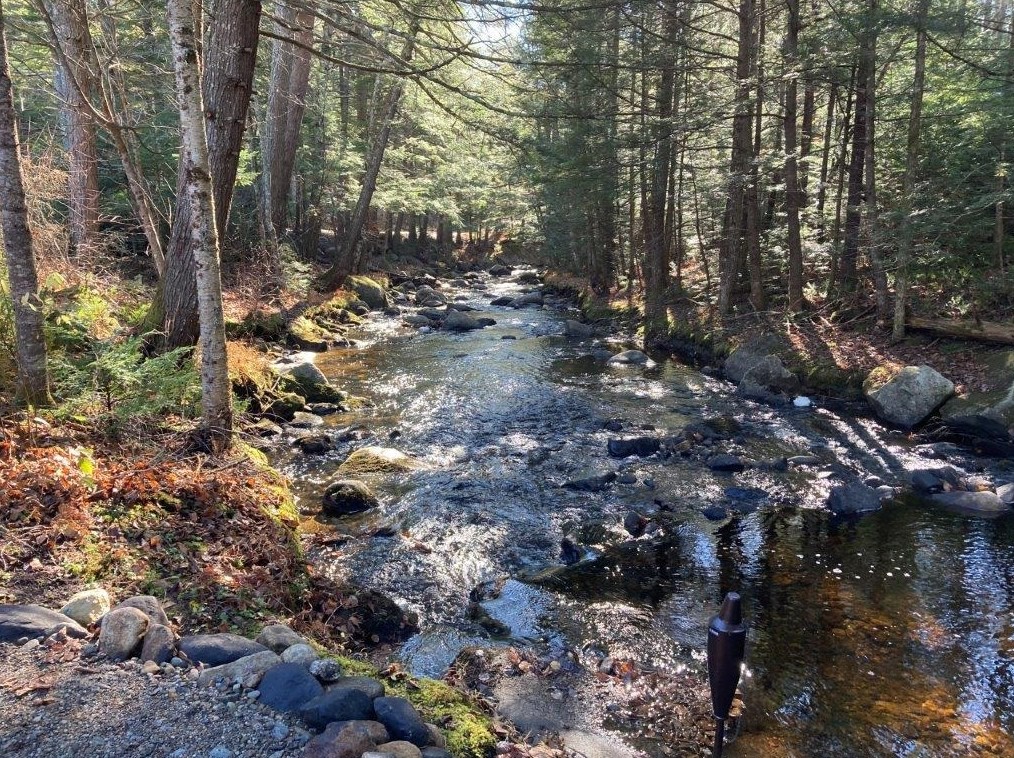 159 Millbrook Rd, Grafton, NH 03240