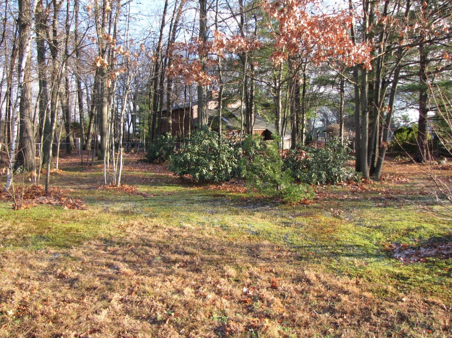 236 Hall St, Manchester NH 03103-3956 exterior