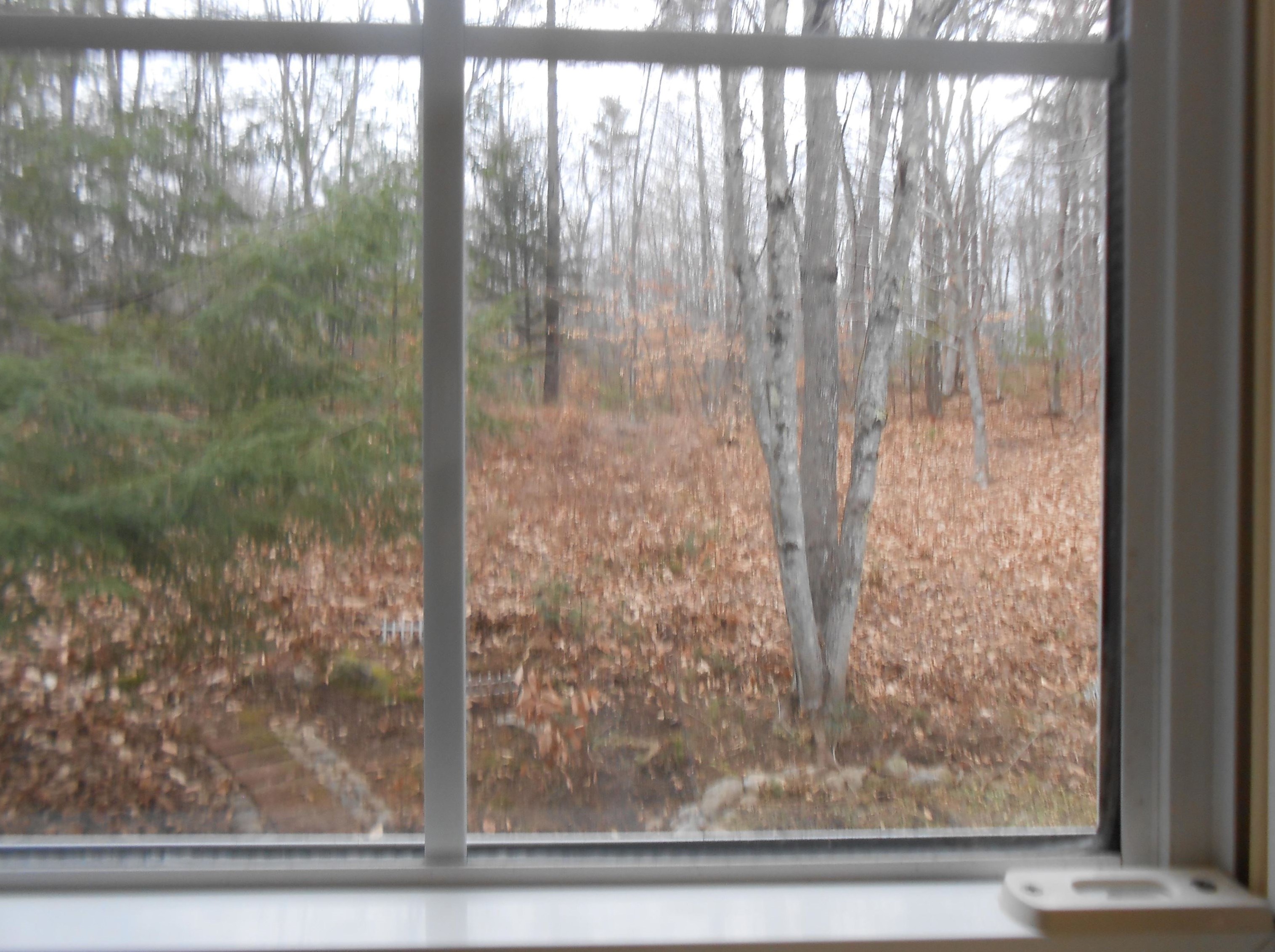 2 Kenyann Dr, Tuftonboro NH  03894-4822 exterior