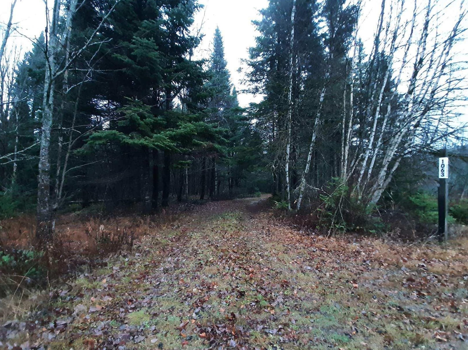 1063 Indian Stream Rd, Pittsburg, NH 03592 exterior