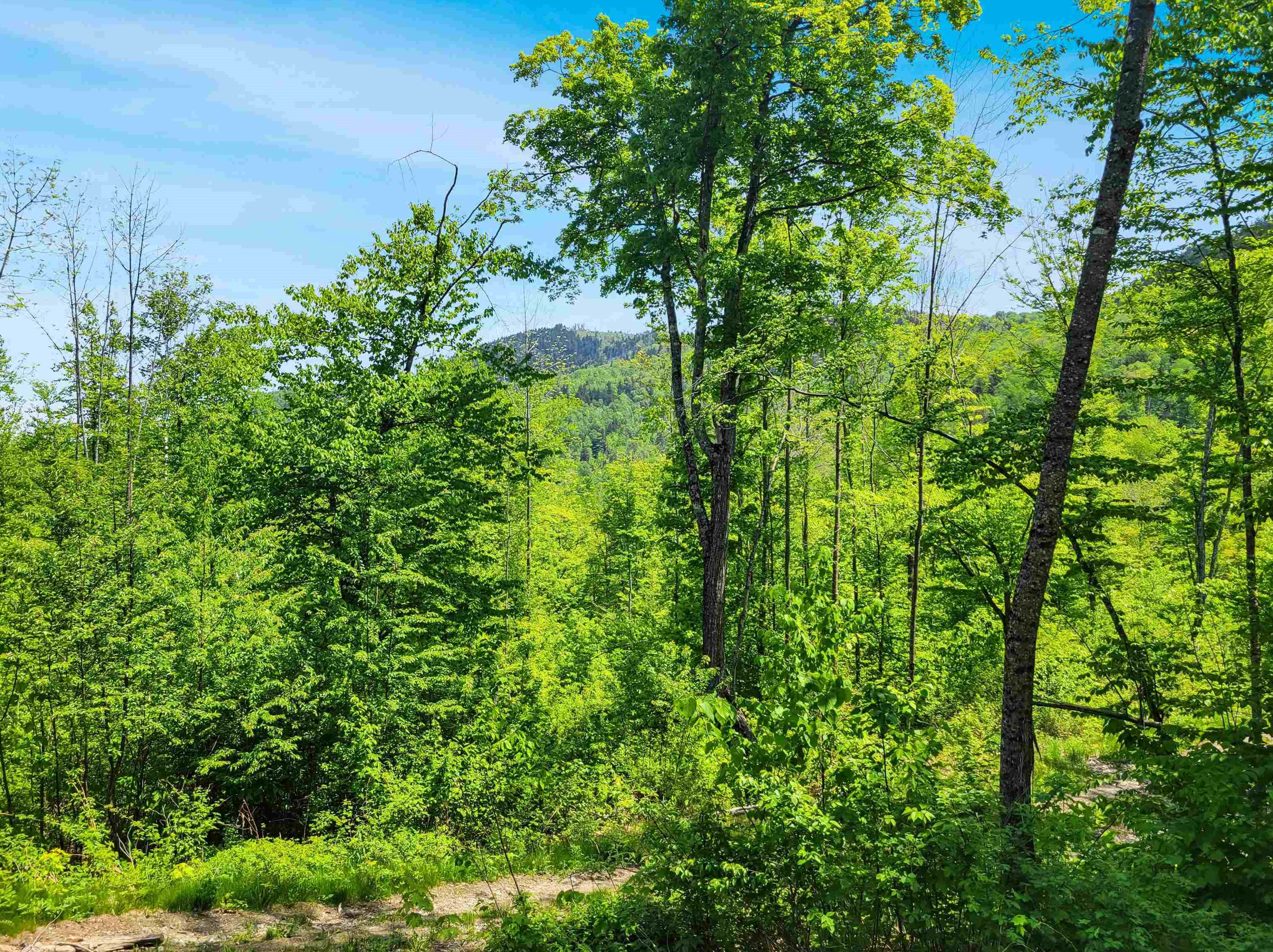 791 Smutty Hollow Rd, Monroe, NH 03771