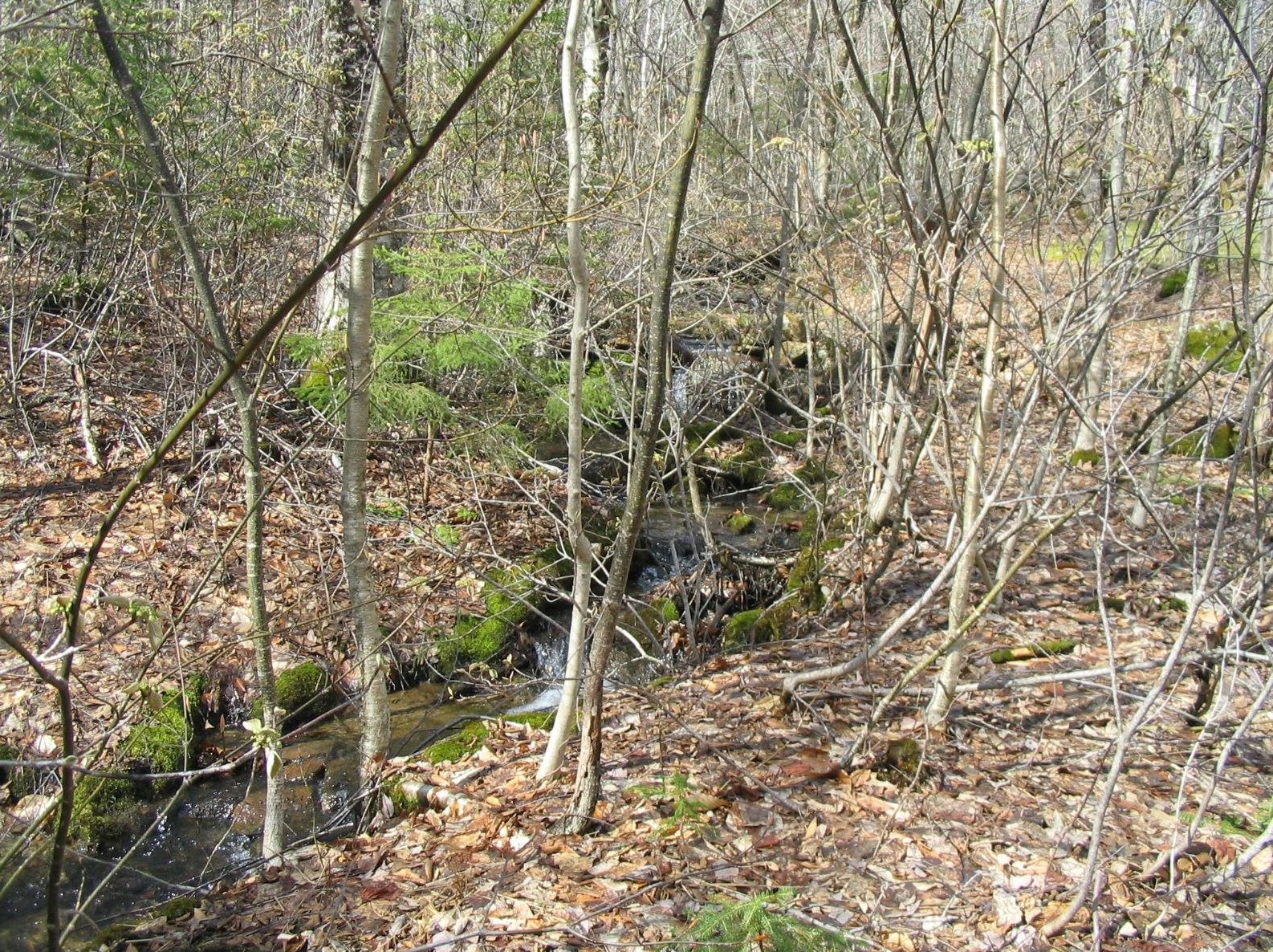 418 Old Stoddard Rd, Nelson NH  03457-5608 exterior