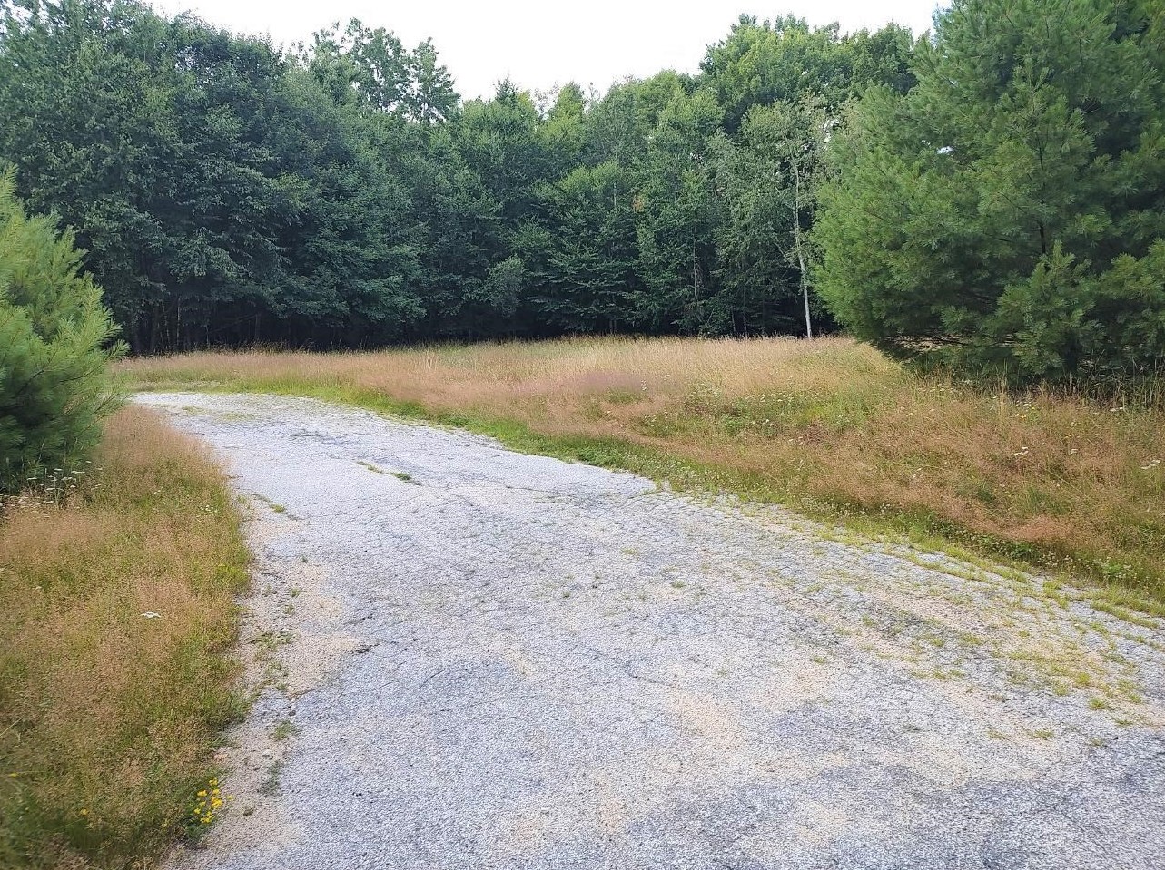 54 Birchwood Dr, Allenstown, NH 03275