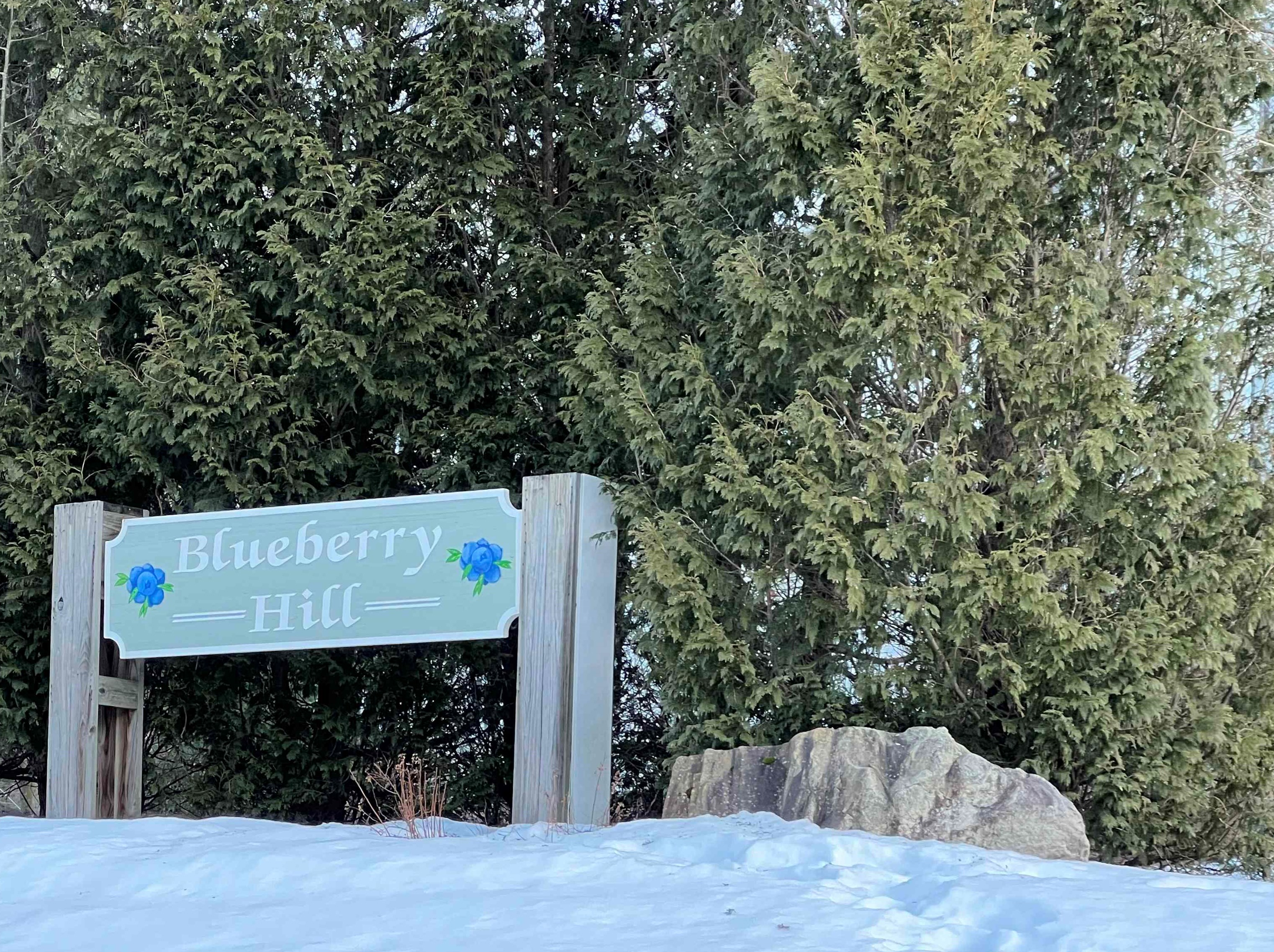 9 Blueberry Hill Rd #unit 5, Bridgewater, NH 03264