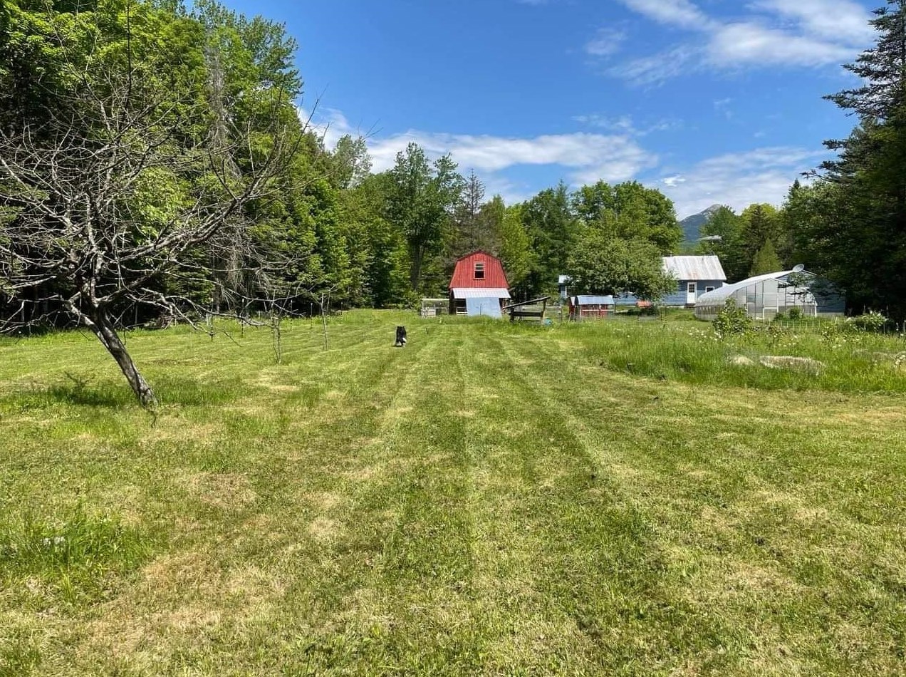 724 Fowlers Mill Rd, Tamworth, NH 03886-5215