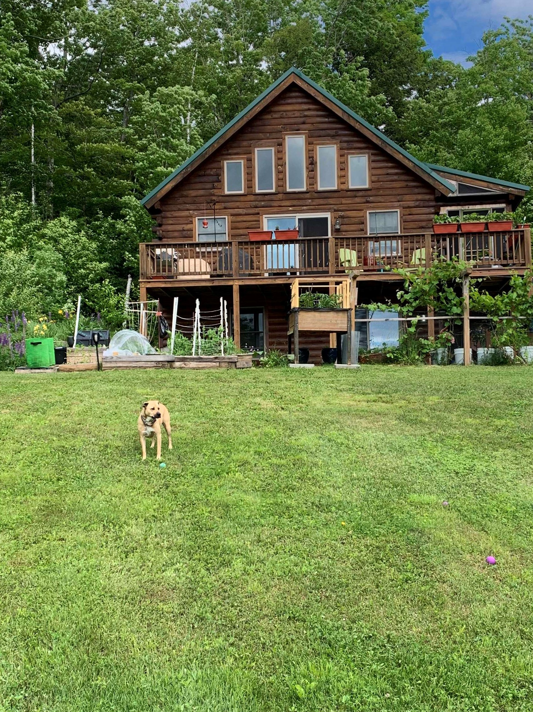 301 Ibey Rd, Orange, NH 03741