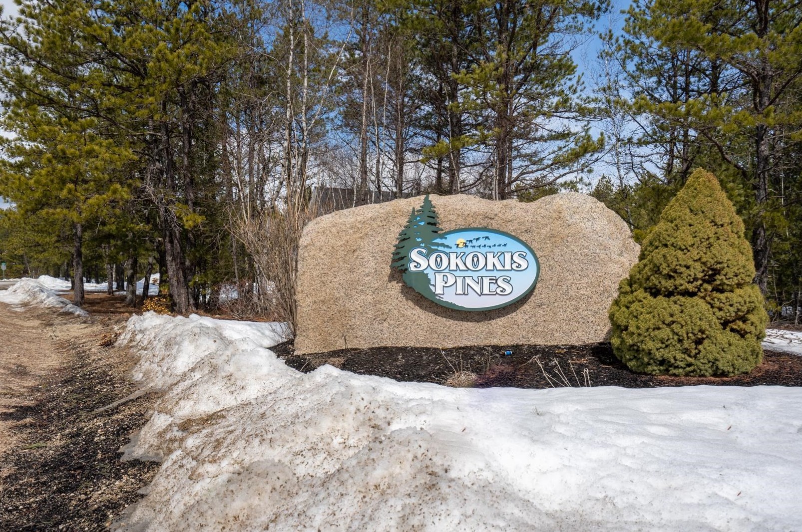 228 Silver Pine Ln, Tamworth, NH 03886