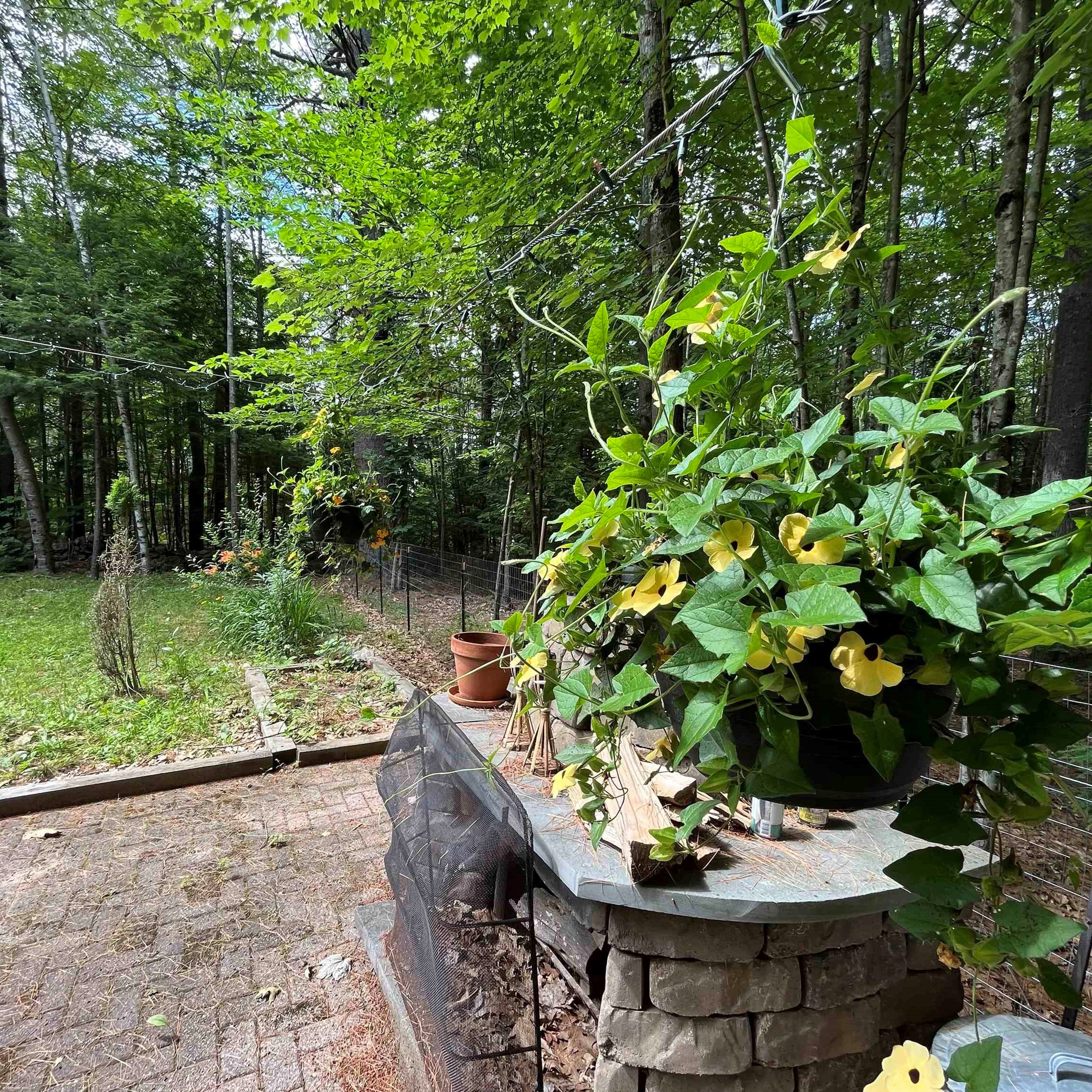 268 Washburn Rd, Bridgewater NH  03222-6617 exterior