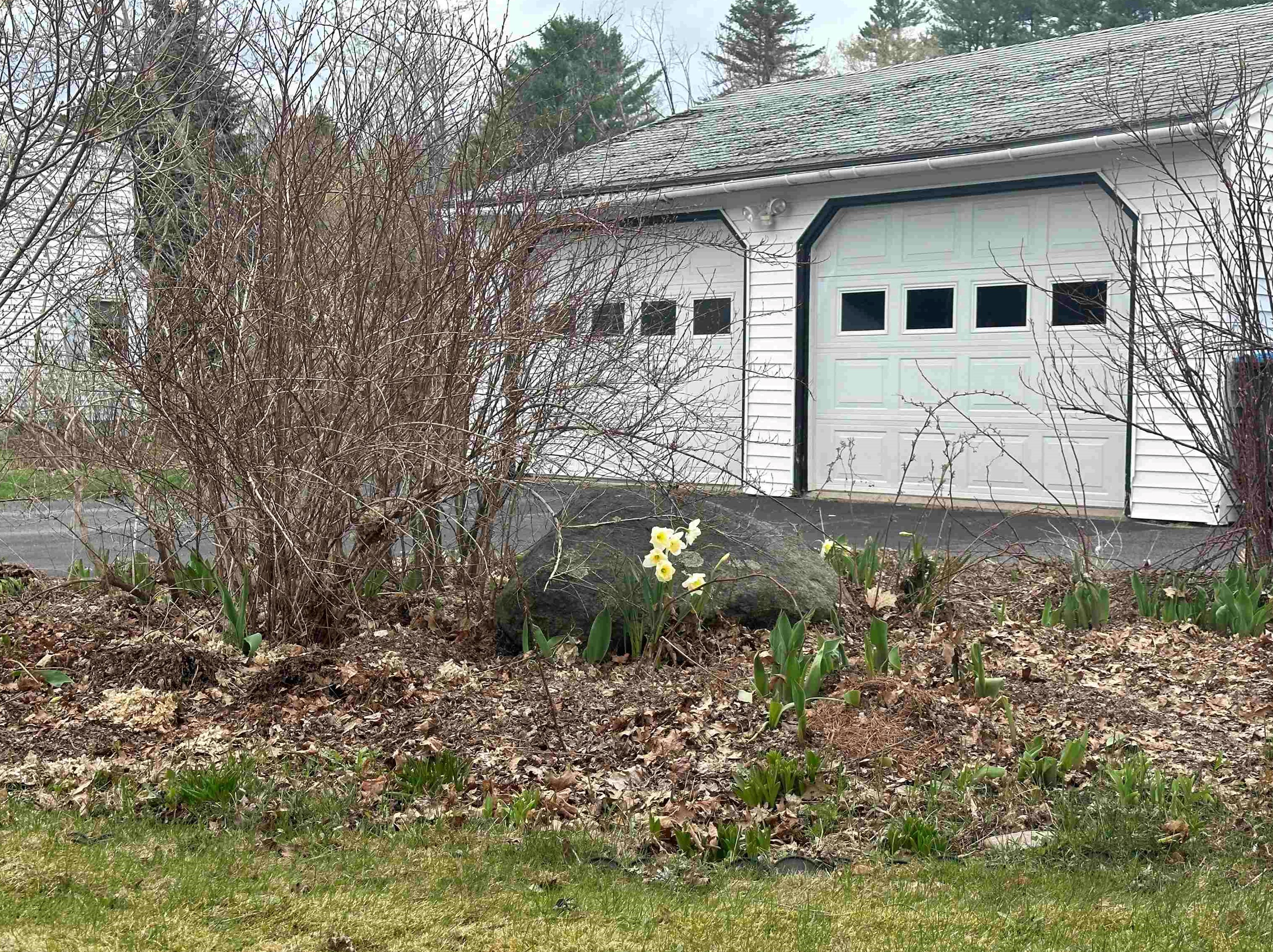 241 Meriden Rd, Lebanon NH  03766-2301 exterior