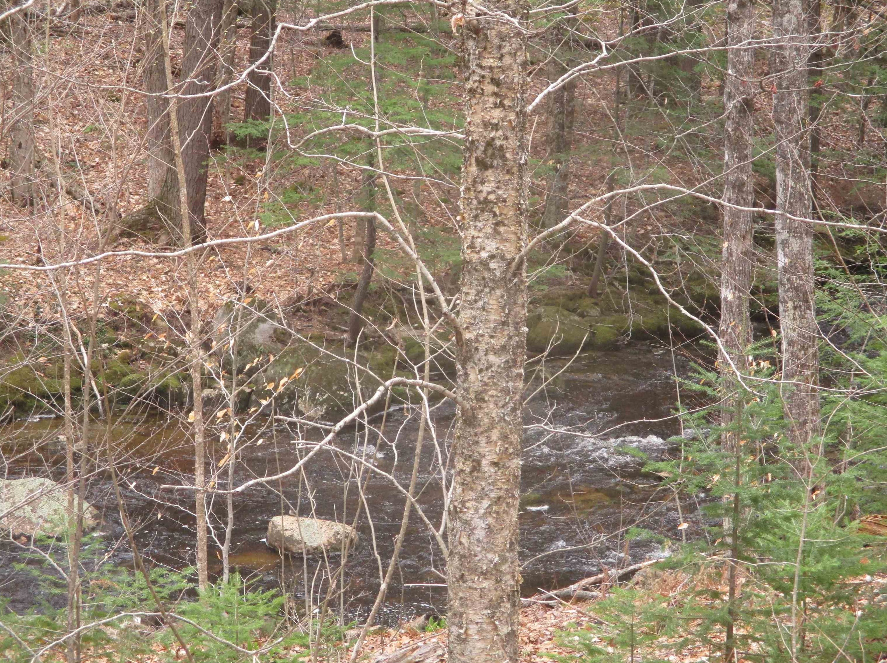 524 Beech Hill Rd, Ellsworth, NH 03223