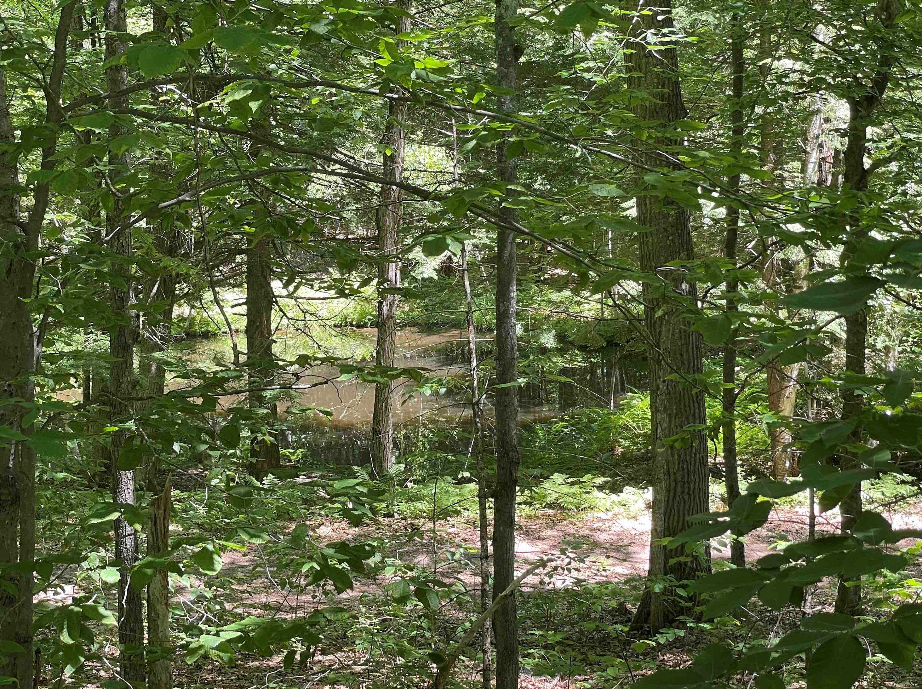 8 Bayberry Ln, Tuftonboro NH  03894-4802 exterior