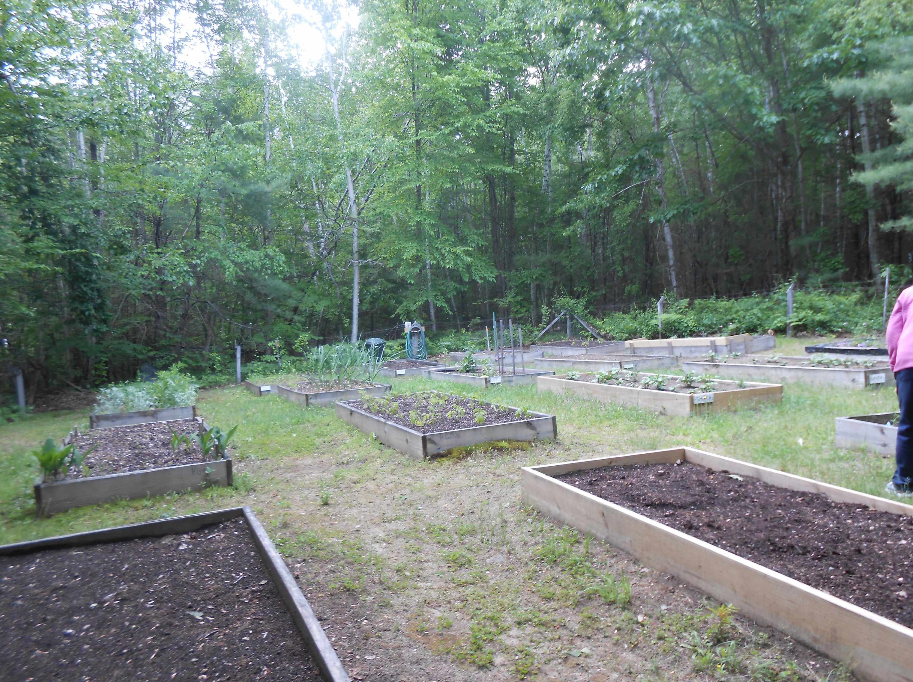 8 Bayberry Ln, Tuftonboro NH  03894-4802 exterior