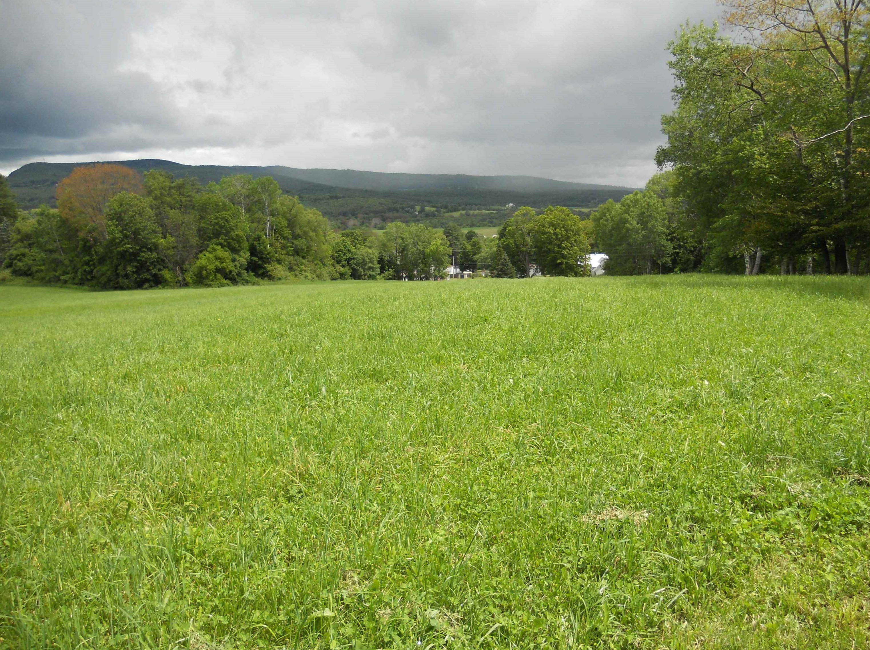 379 Chestnut St, Unity, NH 03743