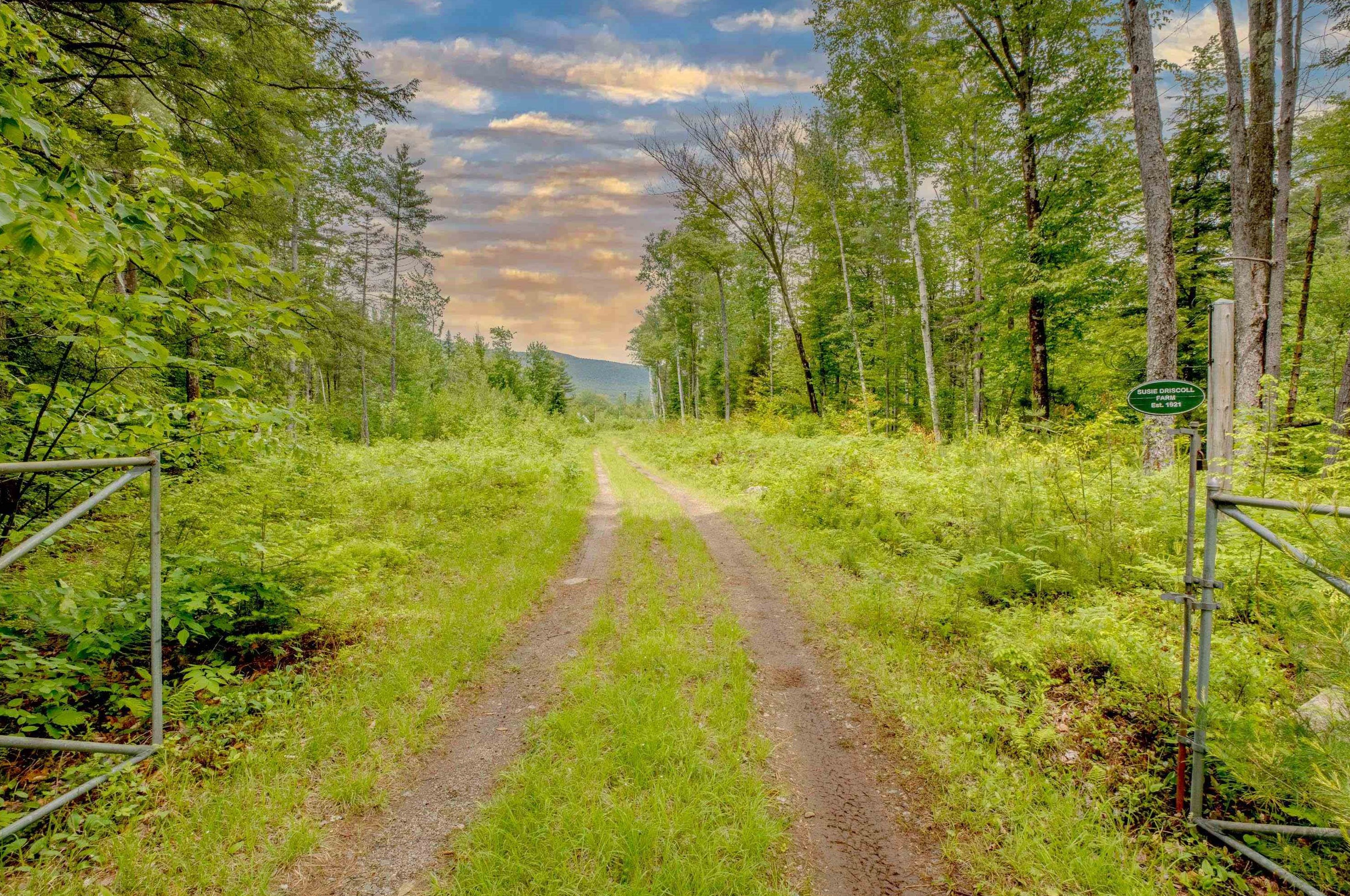 53 Susie Driscoll Rd, Ellsworth, NH 03223