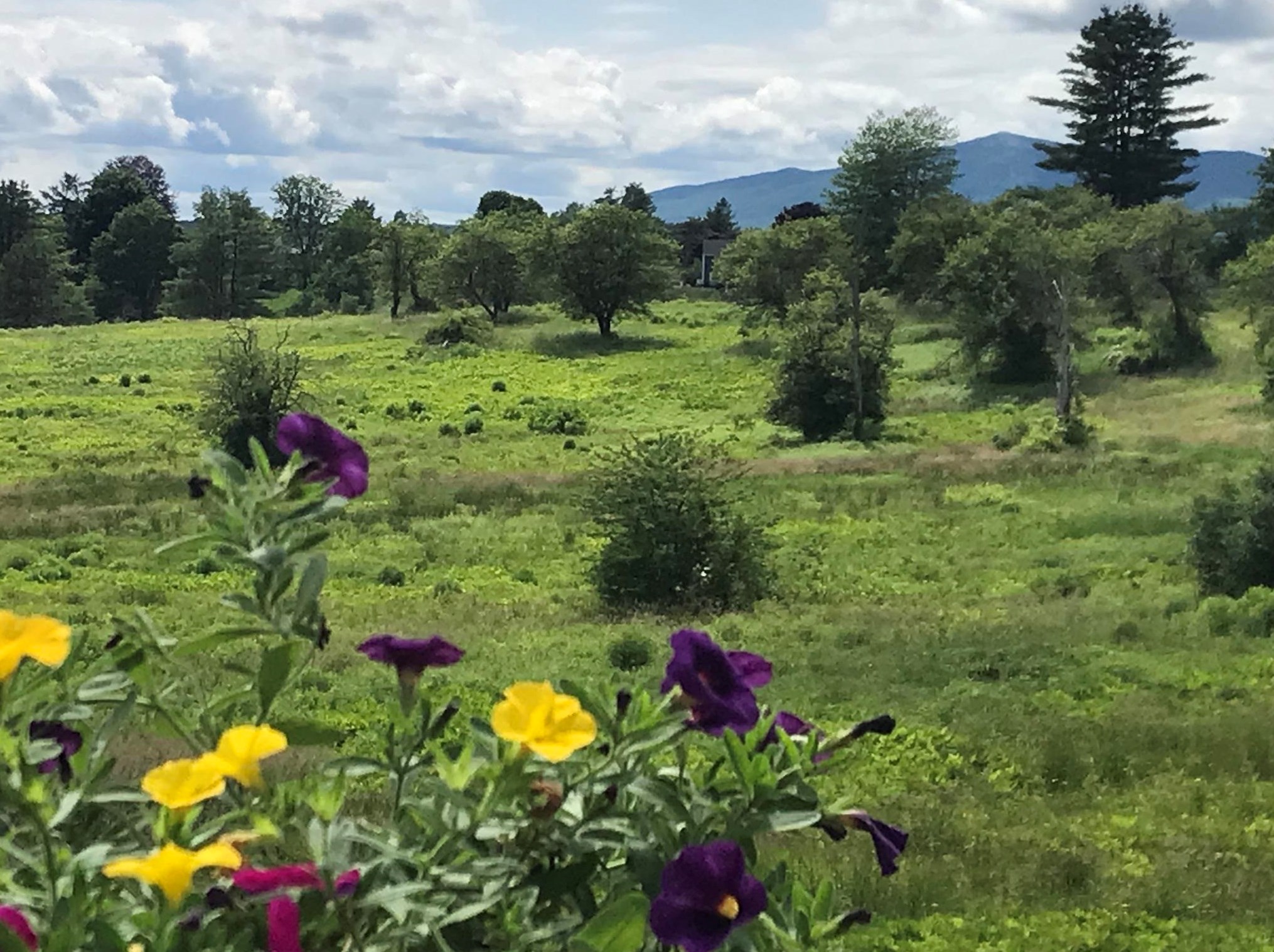 76 Old Street Rd, Peterborough, NH 03458-1638