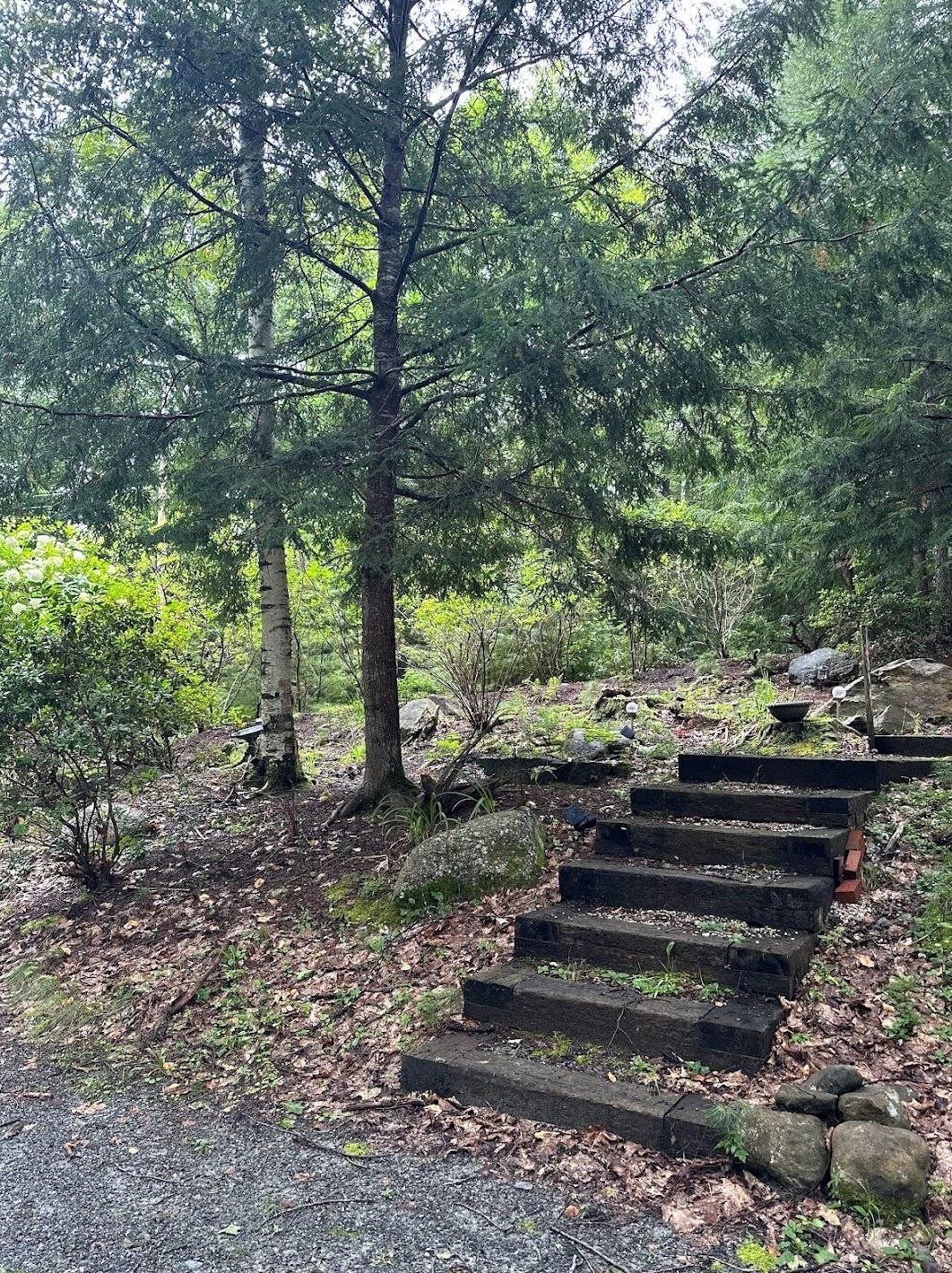 40 King Dr, Landaff, NH 03785-4343