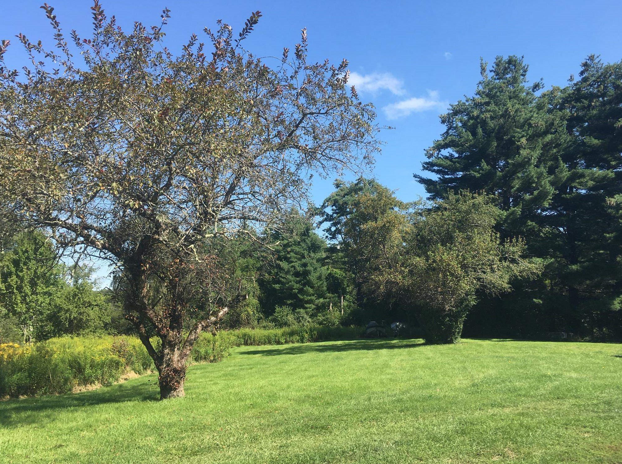 118 Dover Rd, Lee, NH 03824