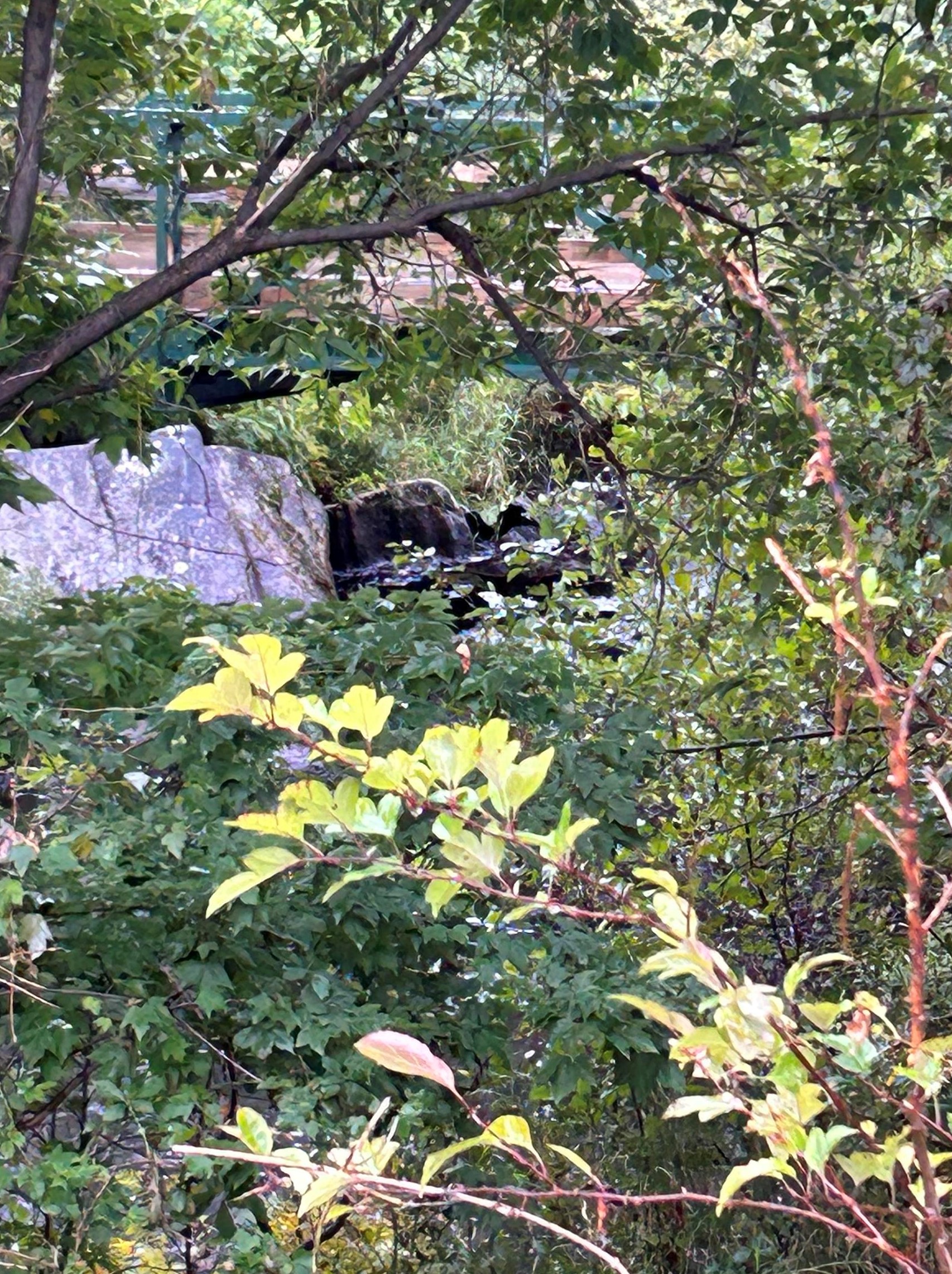 193 Willow St, Berlin NH  03570-1851 exterior