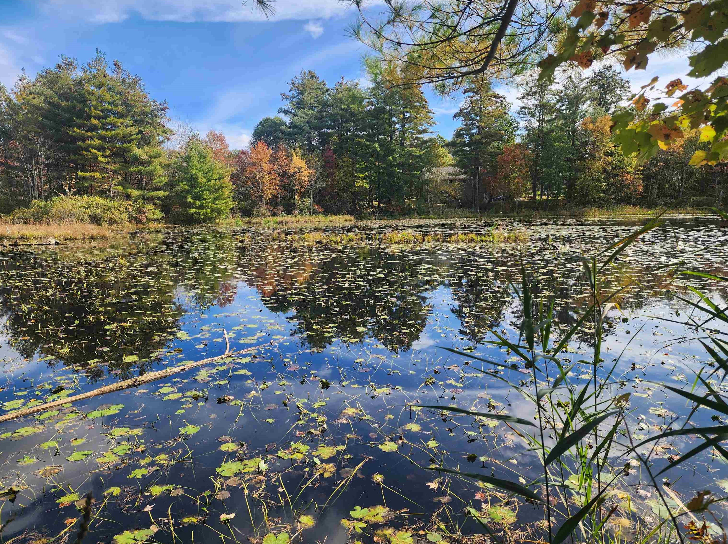 4649 Brown Ave, Manchester NH 03103-6726 exterior