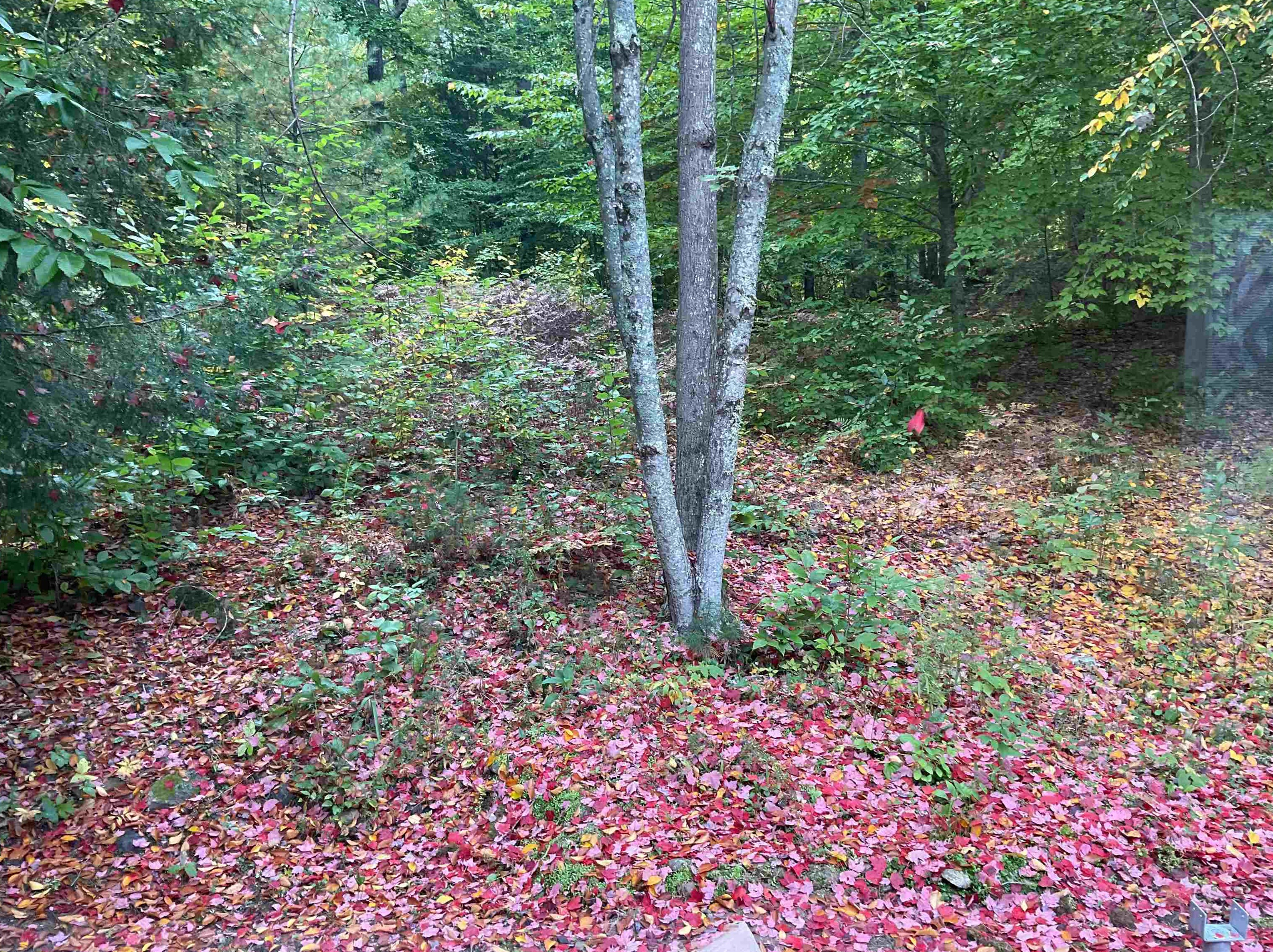 2 Kenyann Dr, Tuftonboro NH  03894-4822 exterior