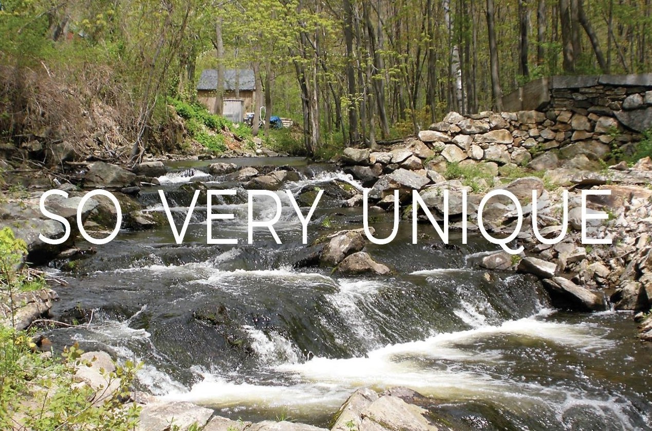 7 Chester Rd #303, Derry, NH 03038