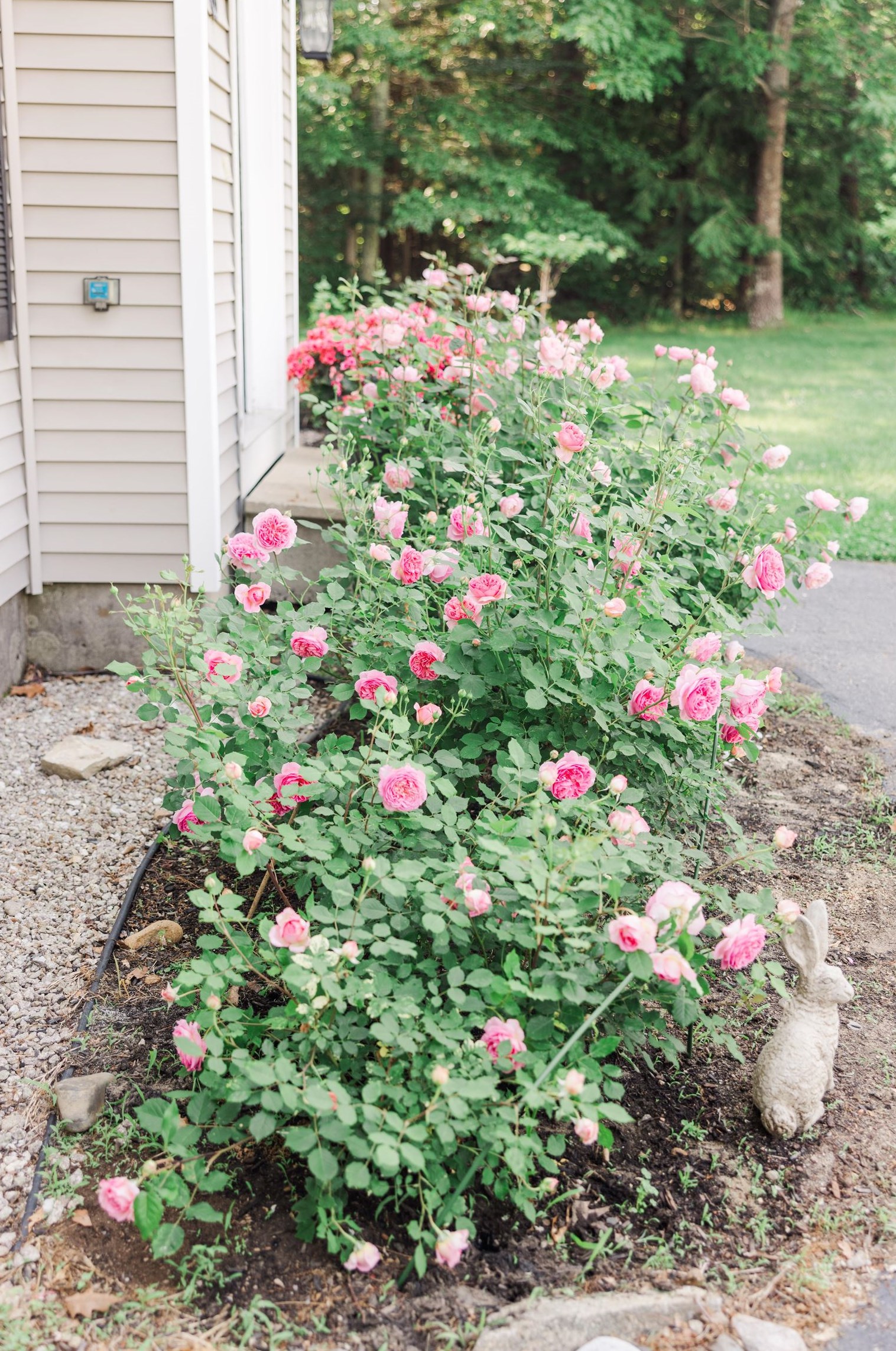 69 Ladyslipper Dr, Newmarket NH  03857-2066 exterior