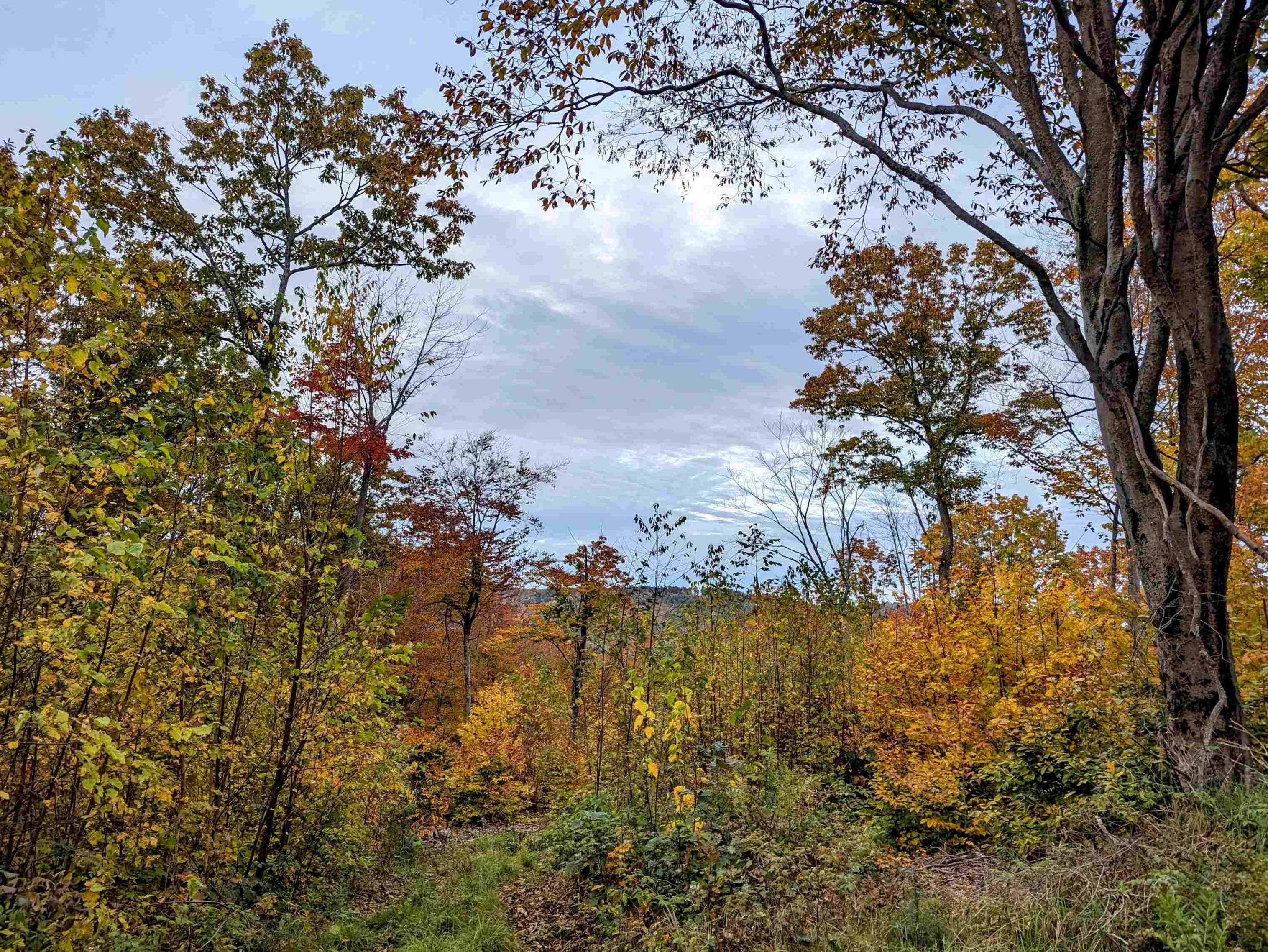 107 John Hodgdon Rd, Ossipee, NH 03864