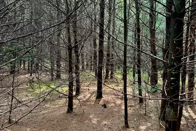 62 Whittier Highway, Sandwich, NH 03227 - Photo 12