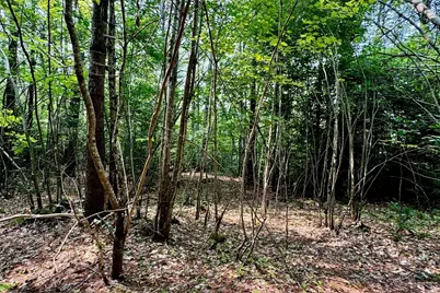 62 Whittier Highway, Sandwich, NH 03227 - Photo 6