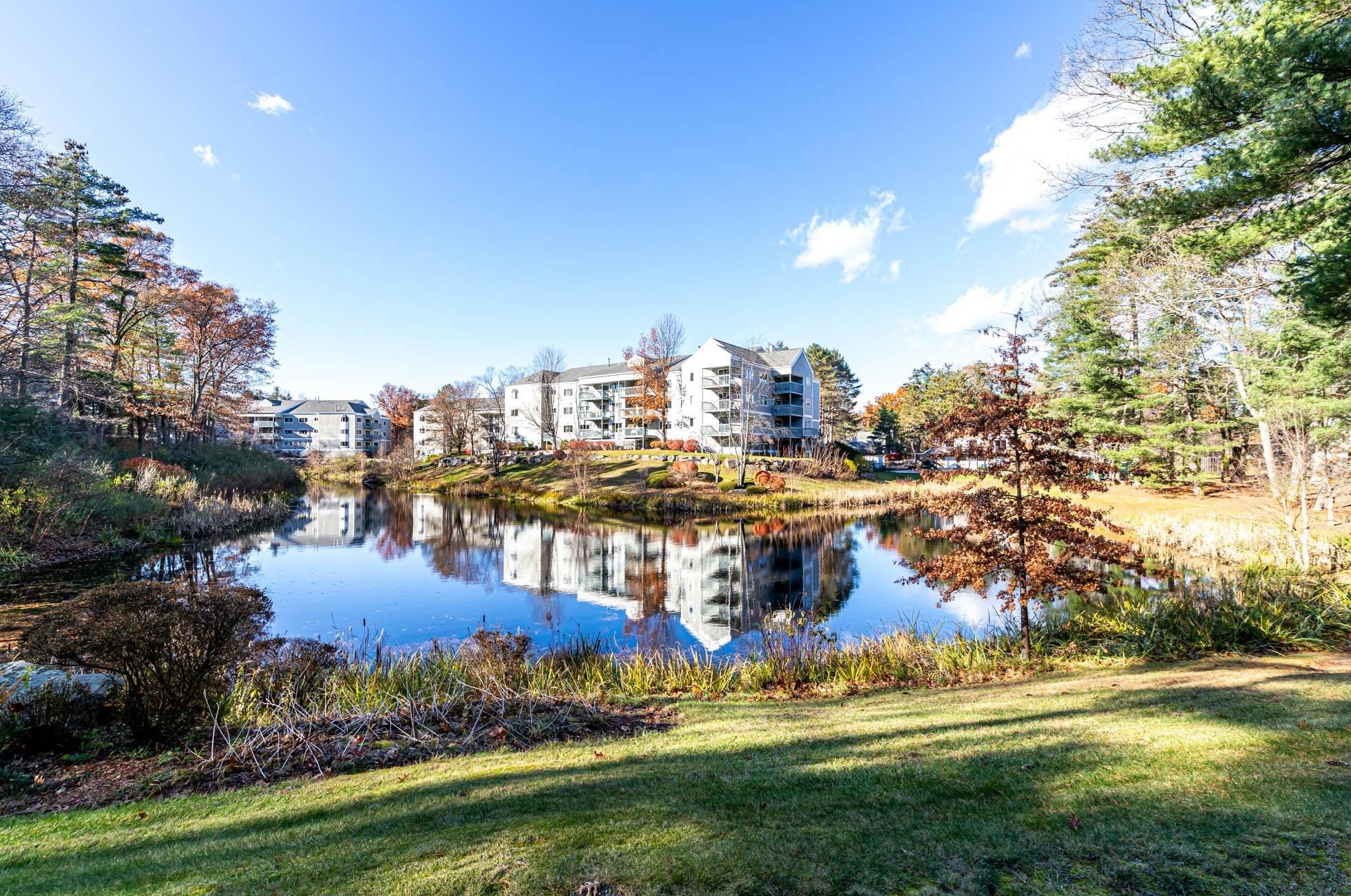 47 Dogwood Dr #208, Nashua, NH 03062